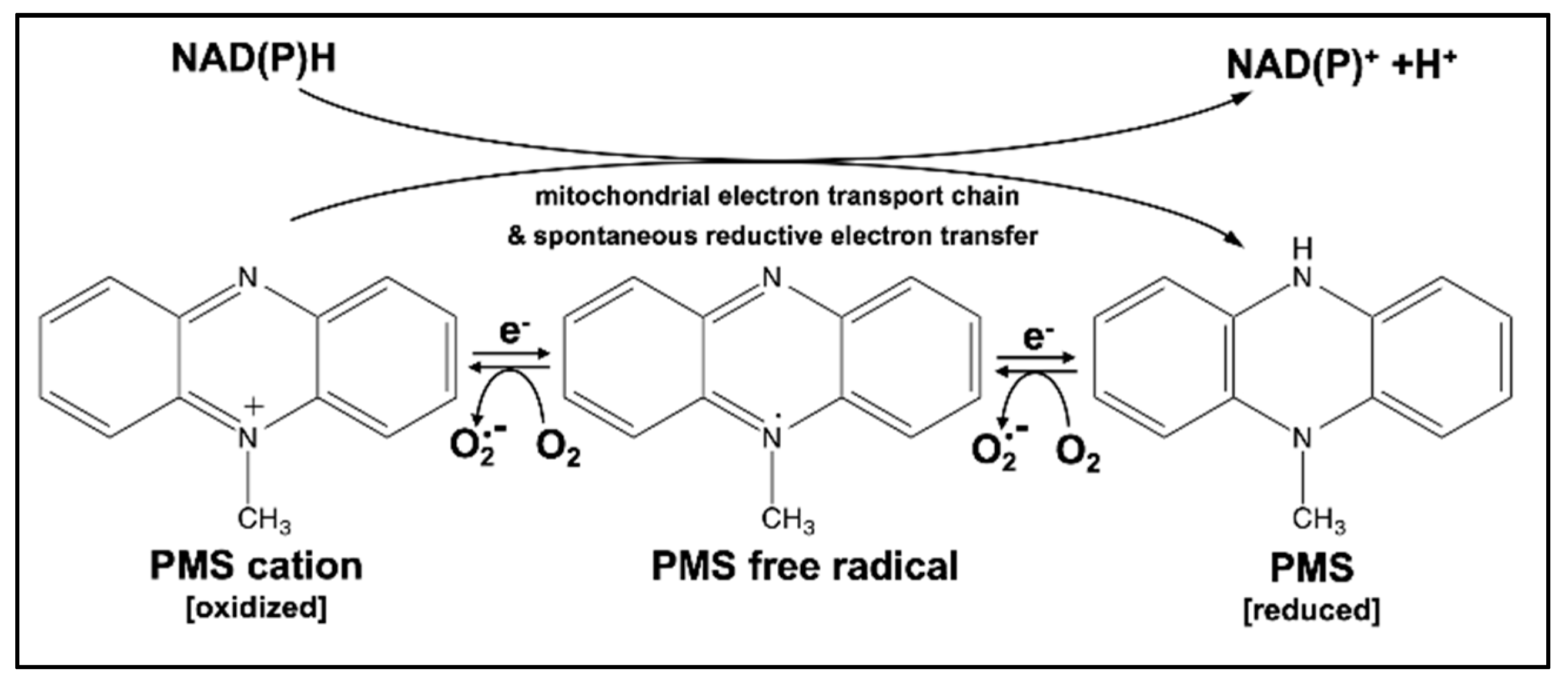 Cancers 11 00590 g001 Cancers 11 00590 g001