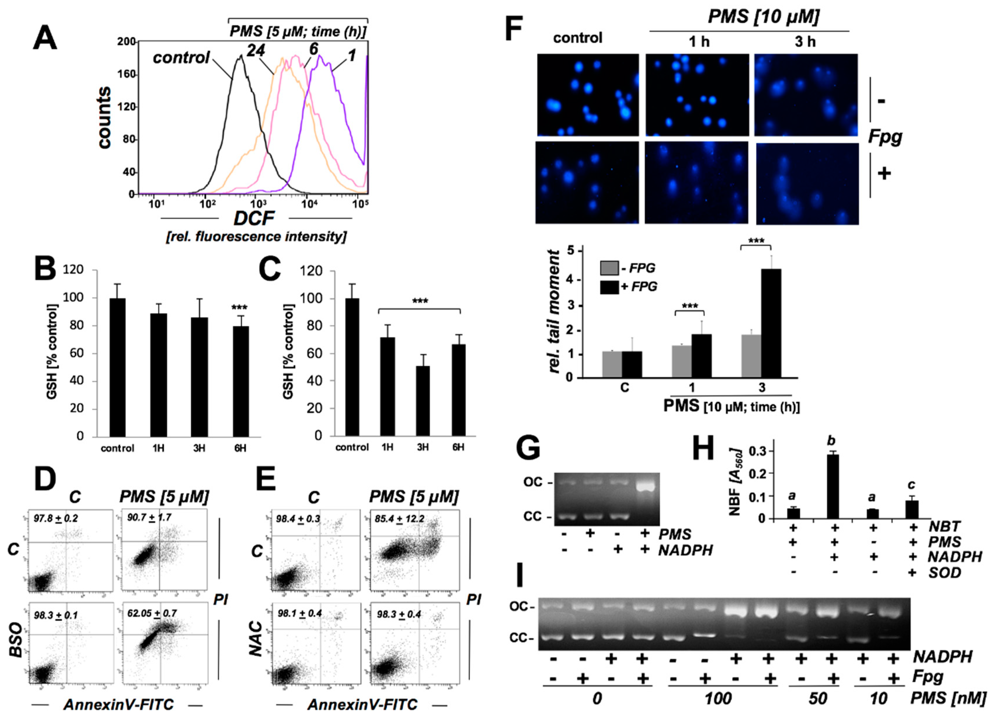 Cancers 11 00590 g005 Cancers 11 00590 g005
