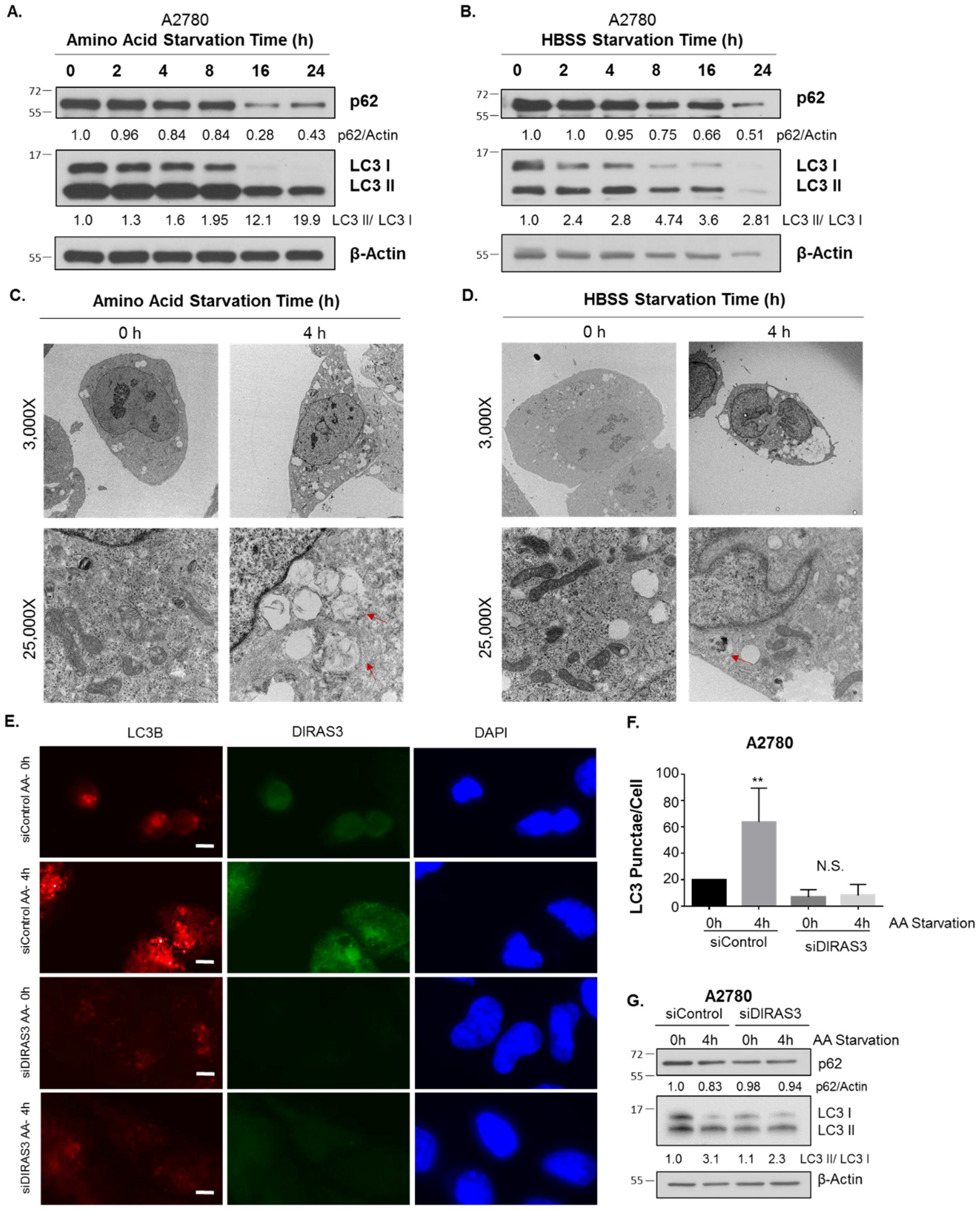 Cancers 11 00603 g001