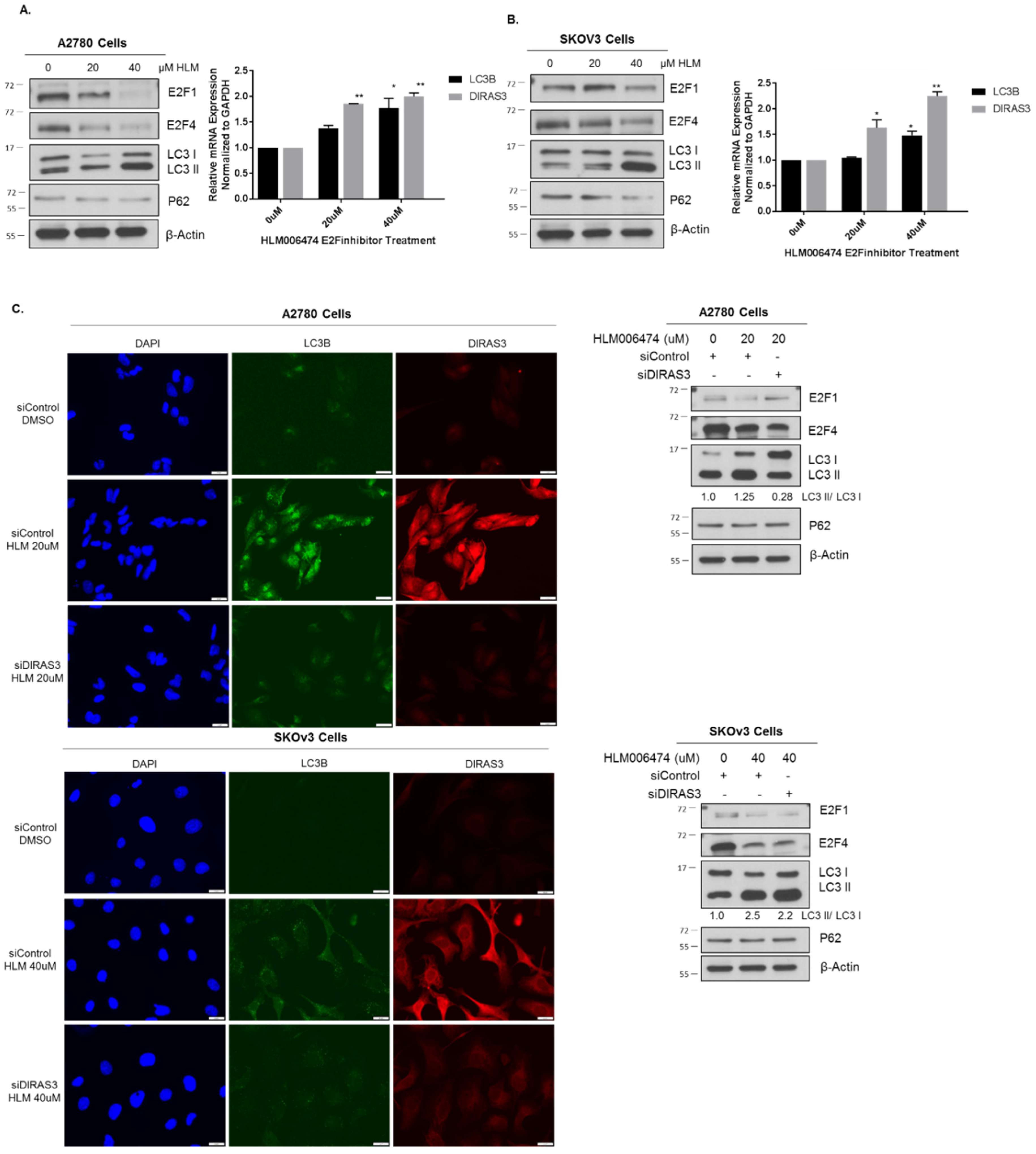 Cancers 11 00603 g006