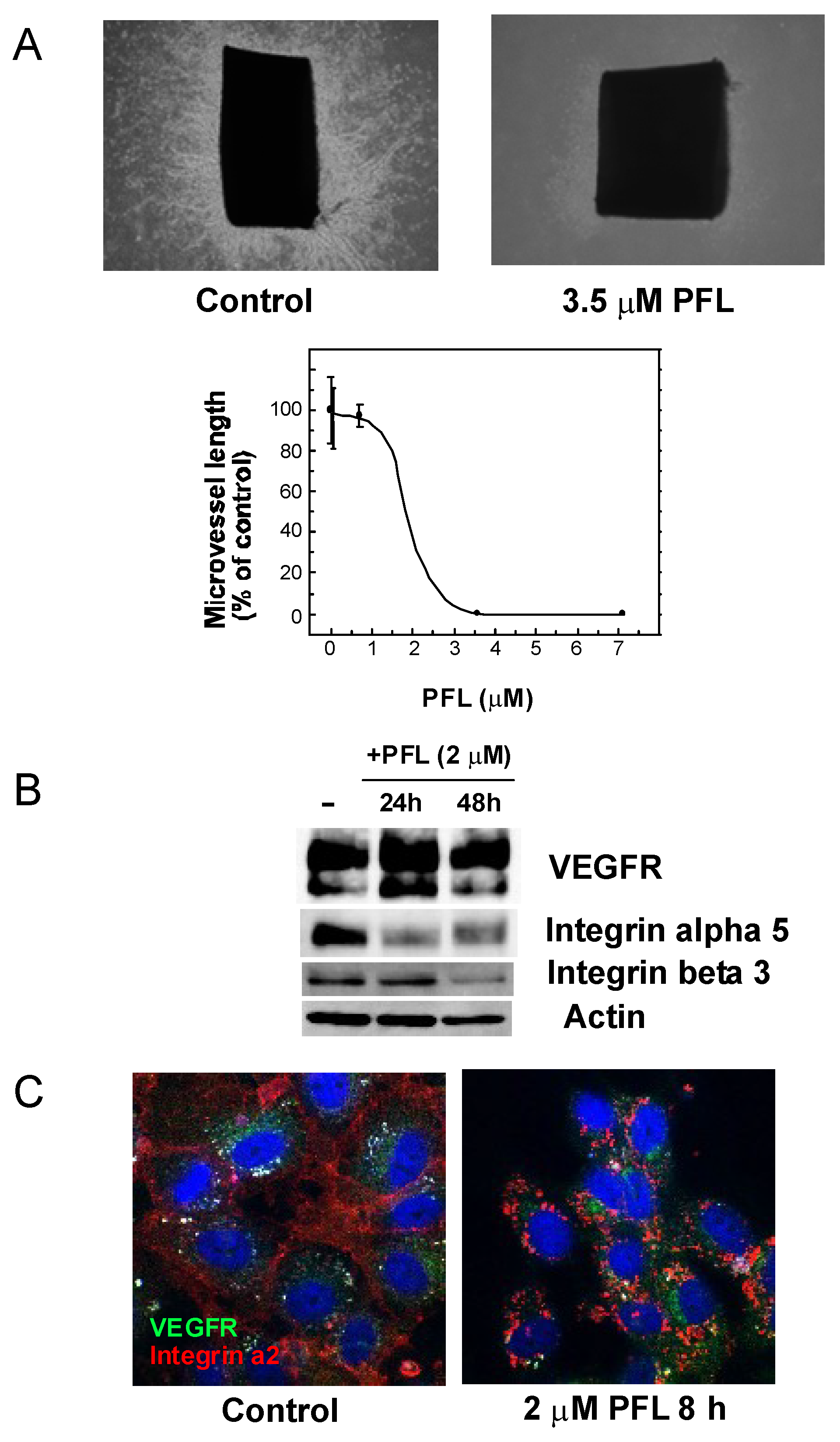 Cancers 11 00604 g003