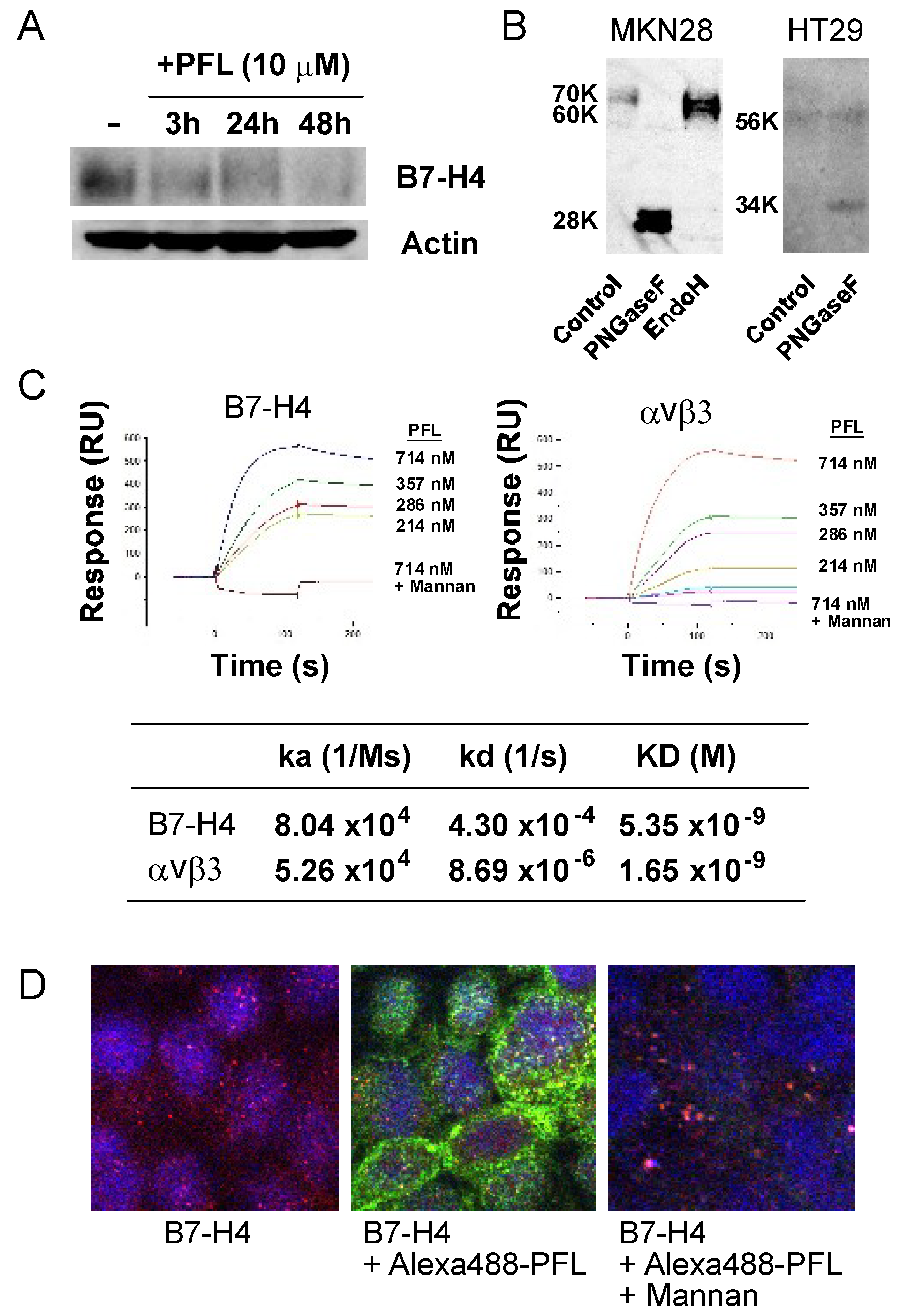 Cancers 11 00604 g005