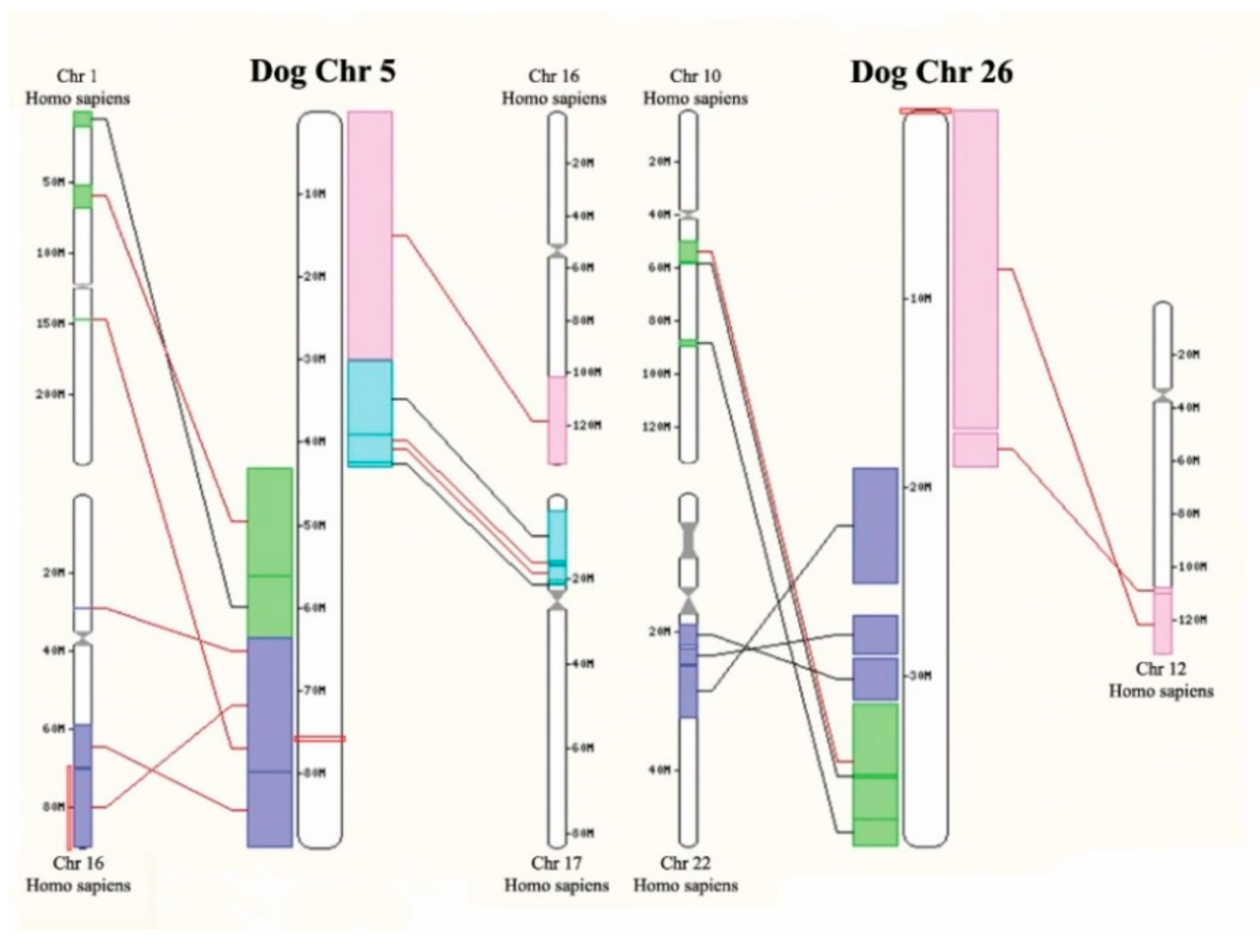 Cancers 11 00607 g003 550