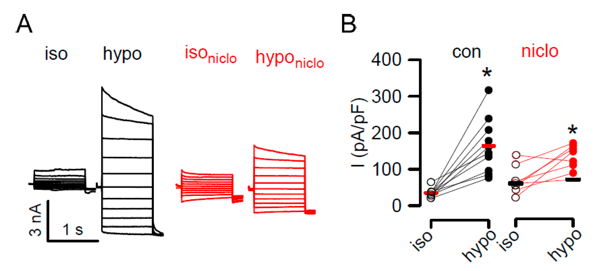 Cancers 11 00625 g007 Cancers 11 00625 g007