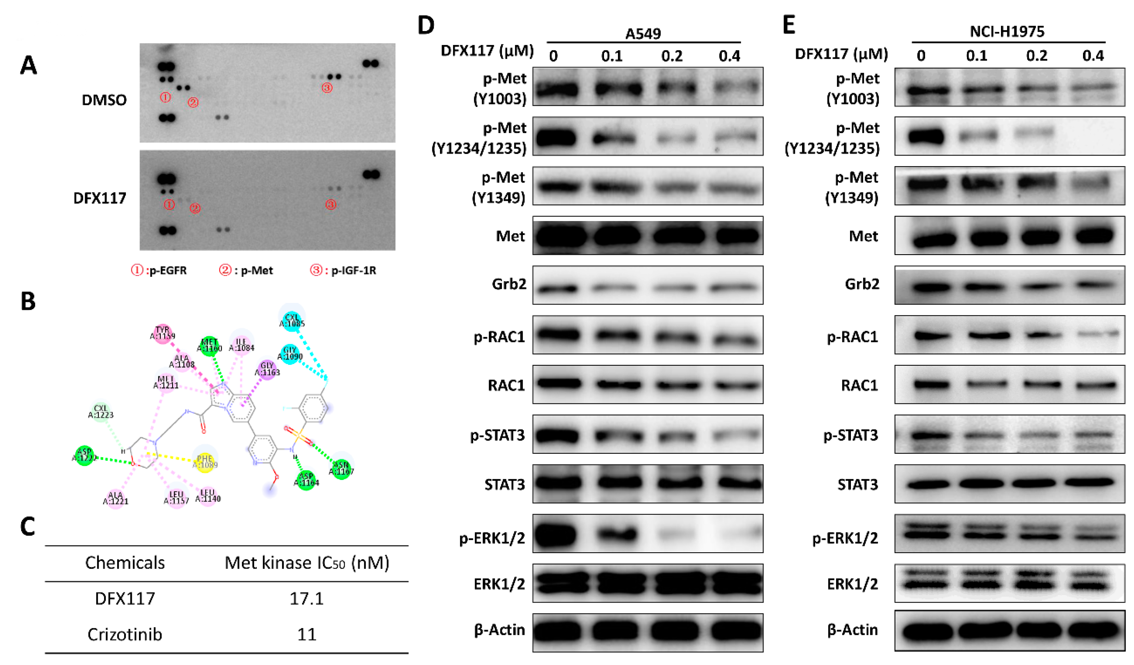 Cancers 11 00627 g003