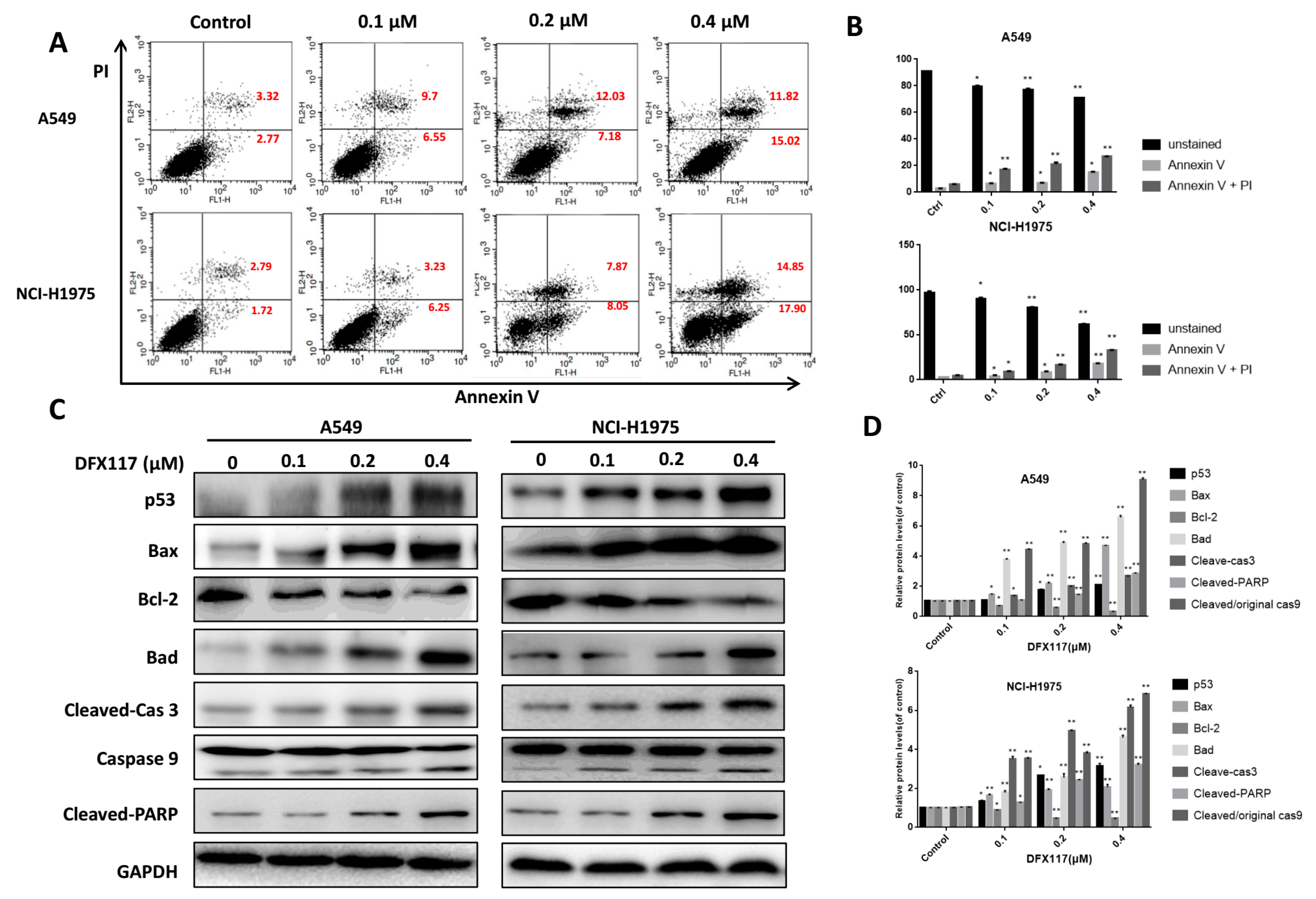 Cancers 11 00627 g005