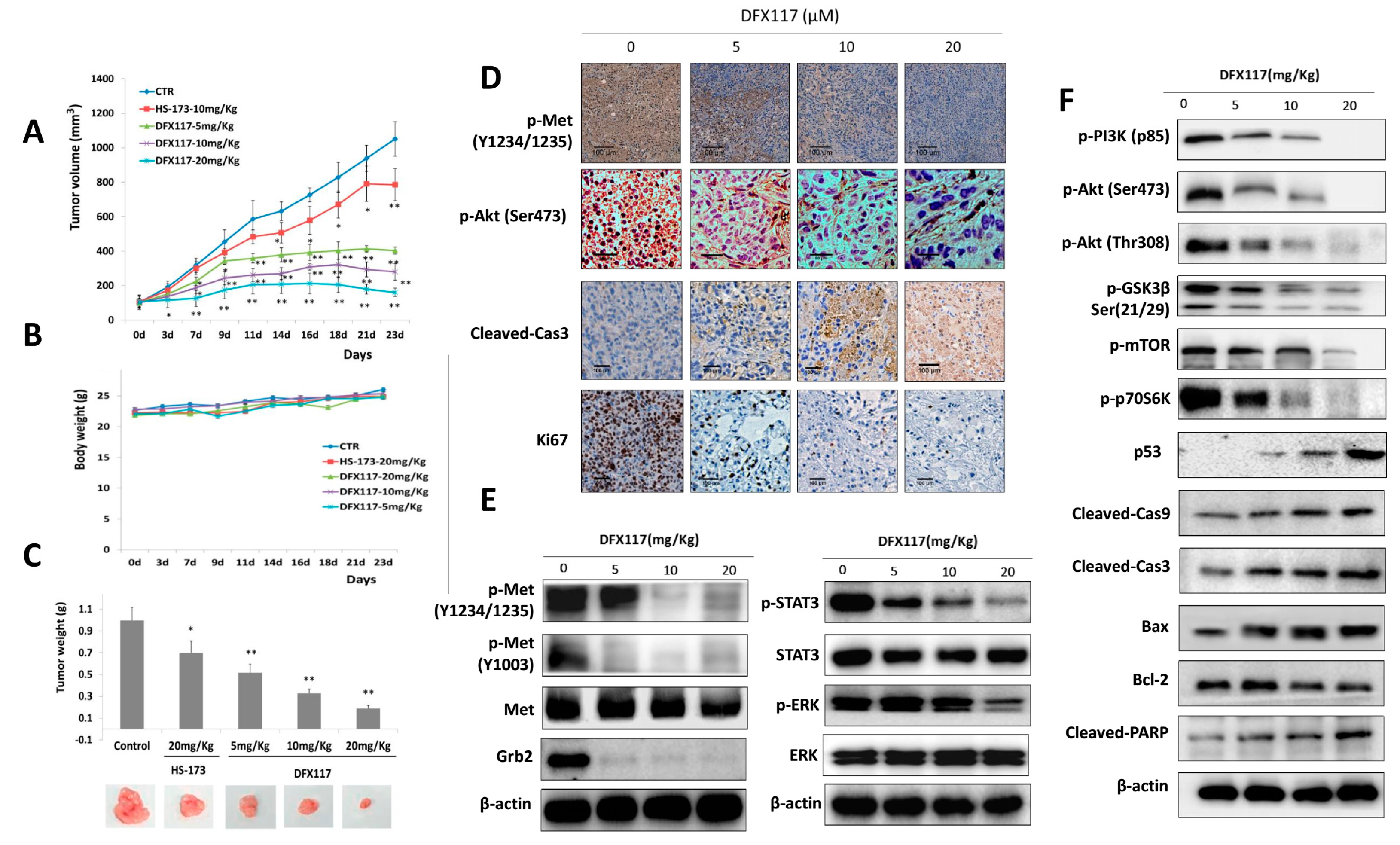 Cancers 11 00627 g006a