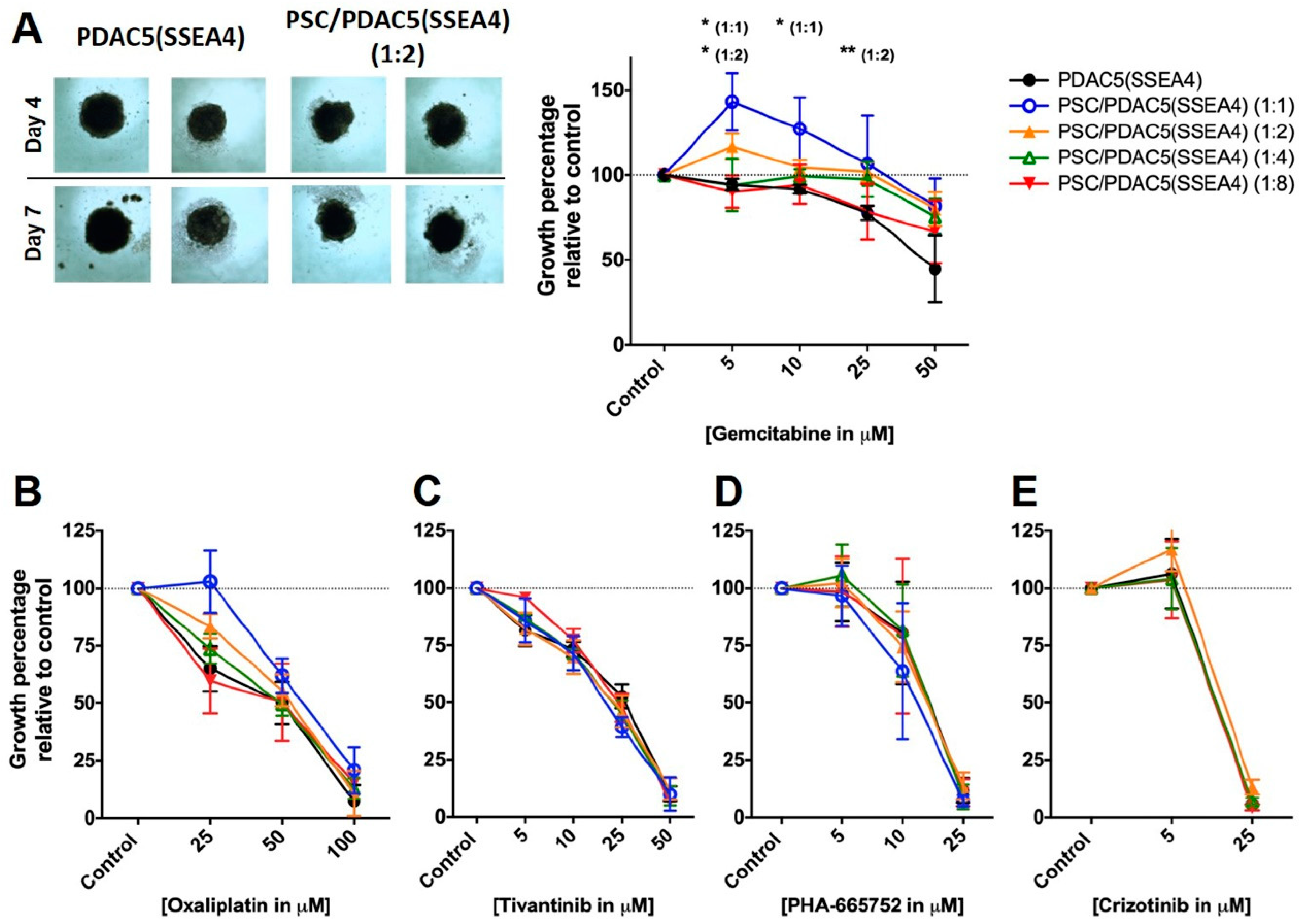 Cancers 11 00638 g006