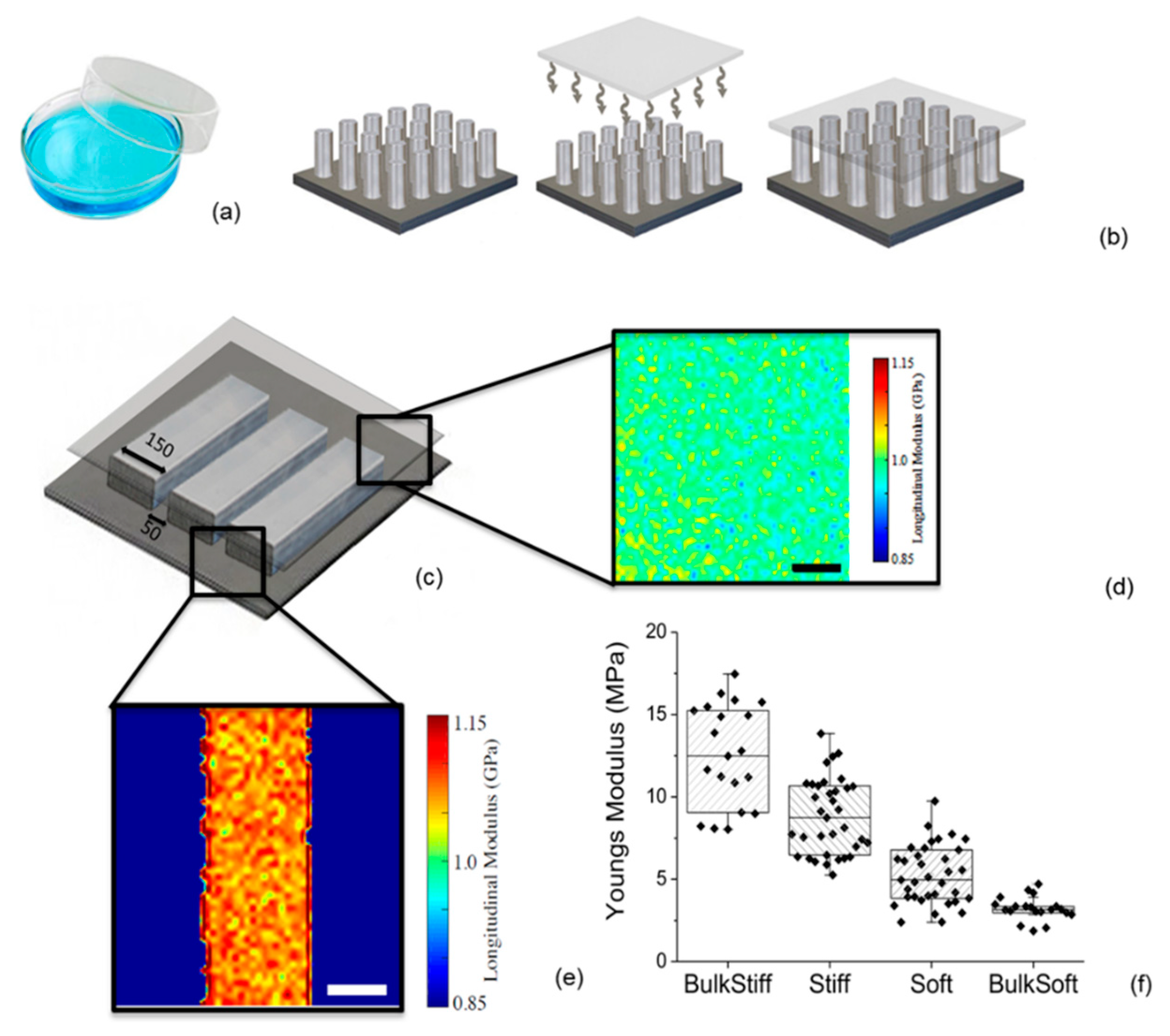 Cancers 11 00643 g001