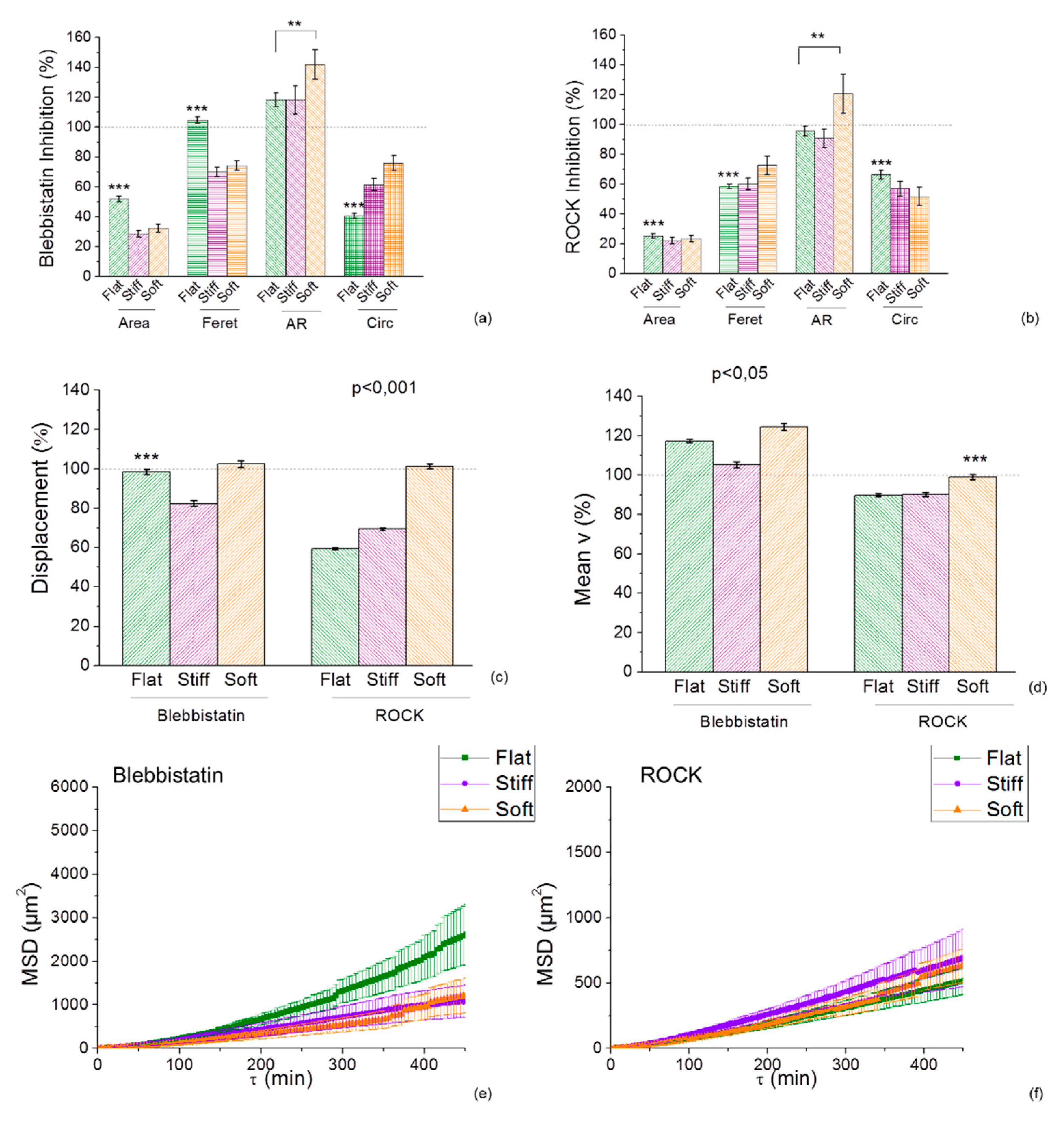 Cancers 11 00643 g005