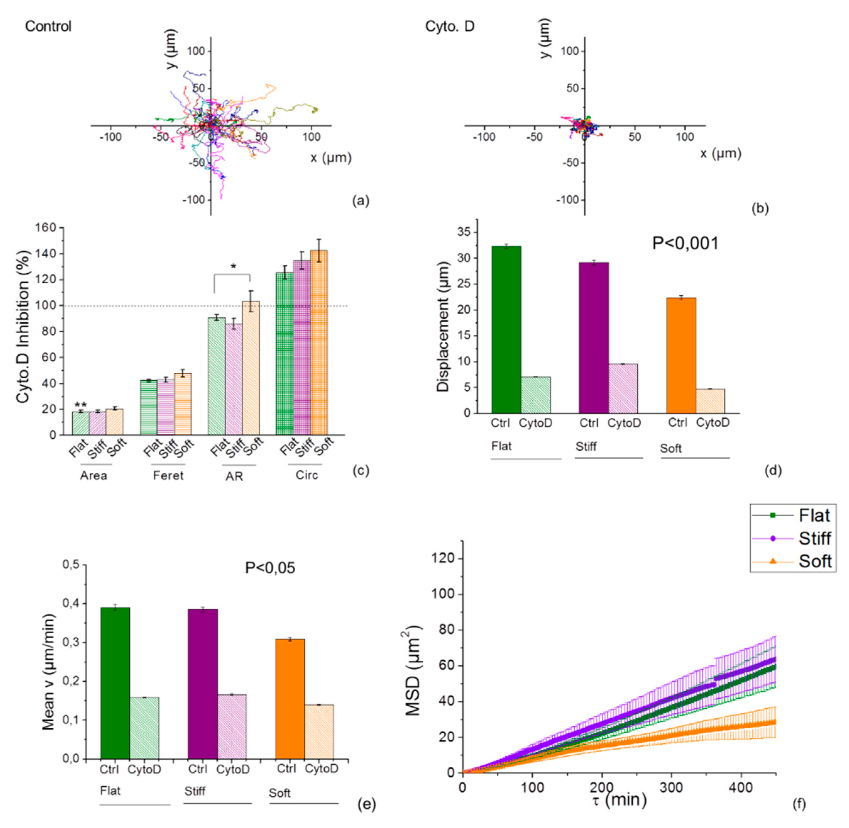 Cancers 11 00643 g006