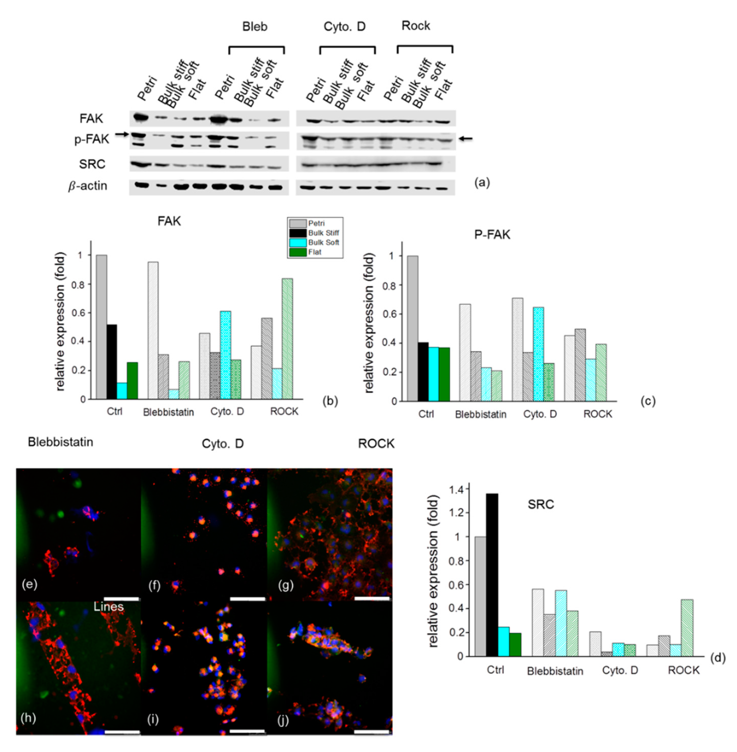 Cancers 11 00643 g007