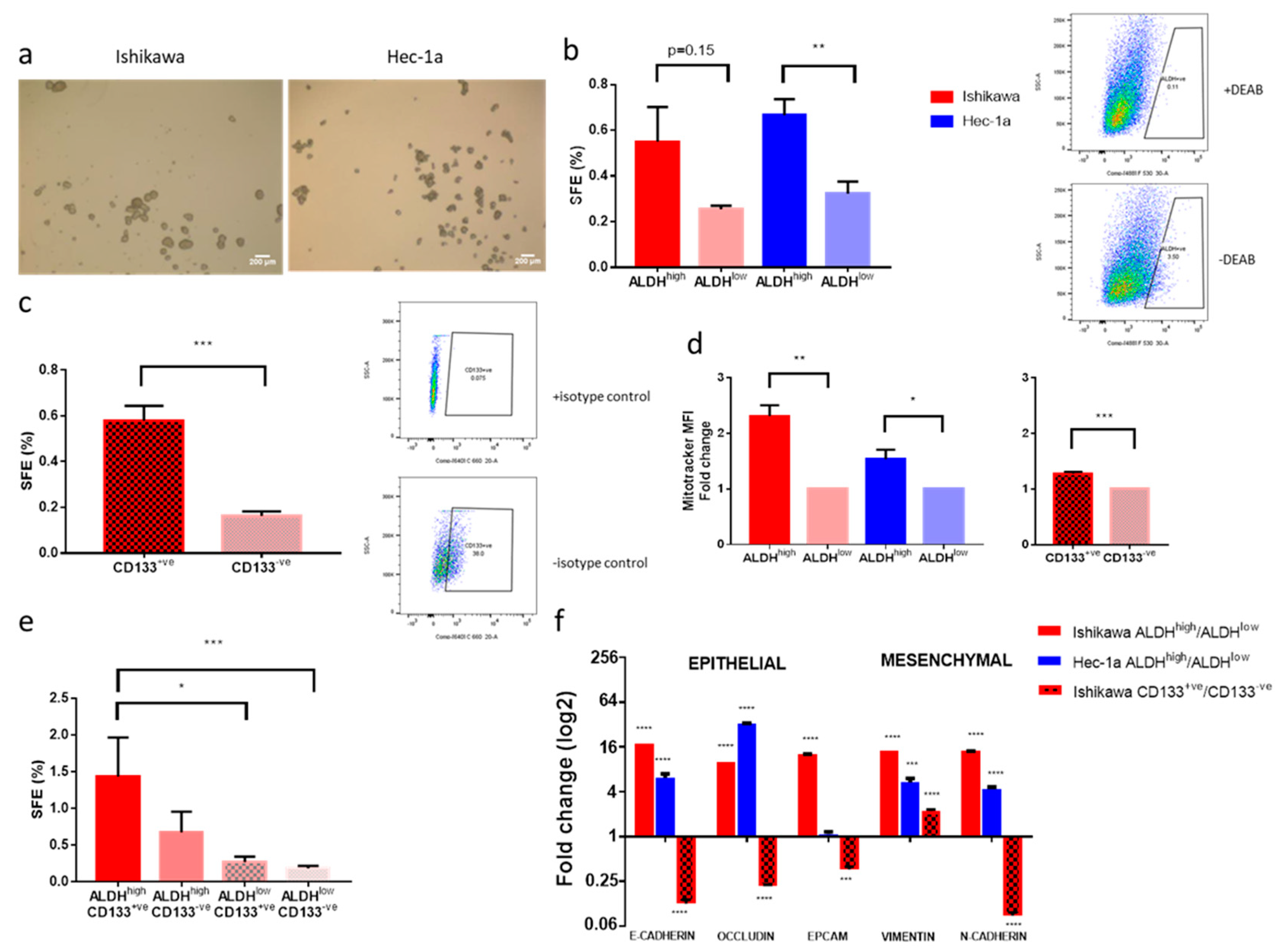 Cancers 11 00653 g001 Cancers 11 00653 g001