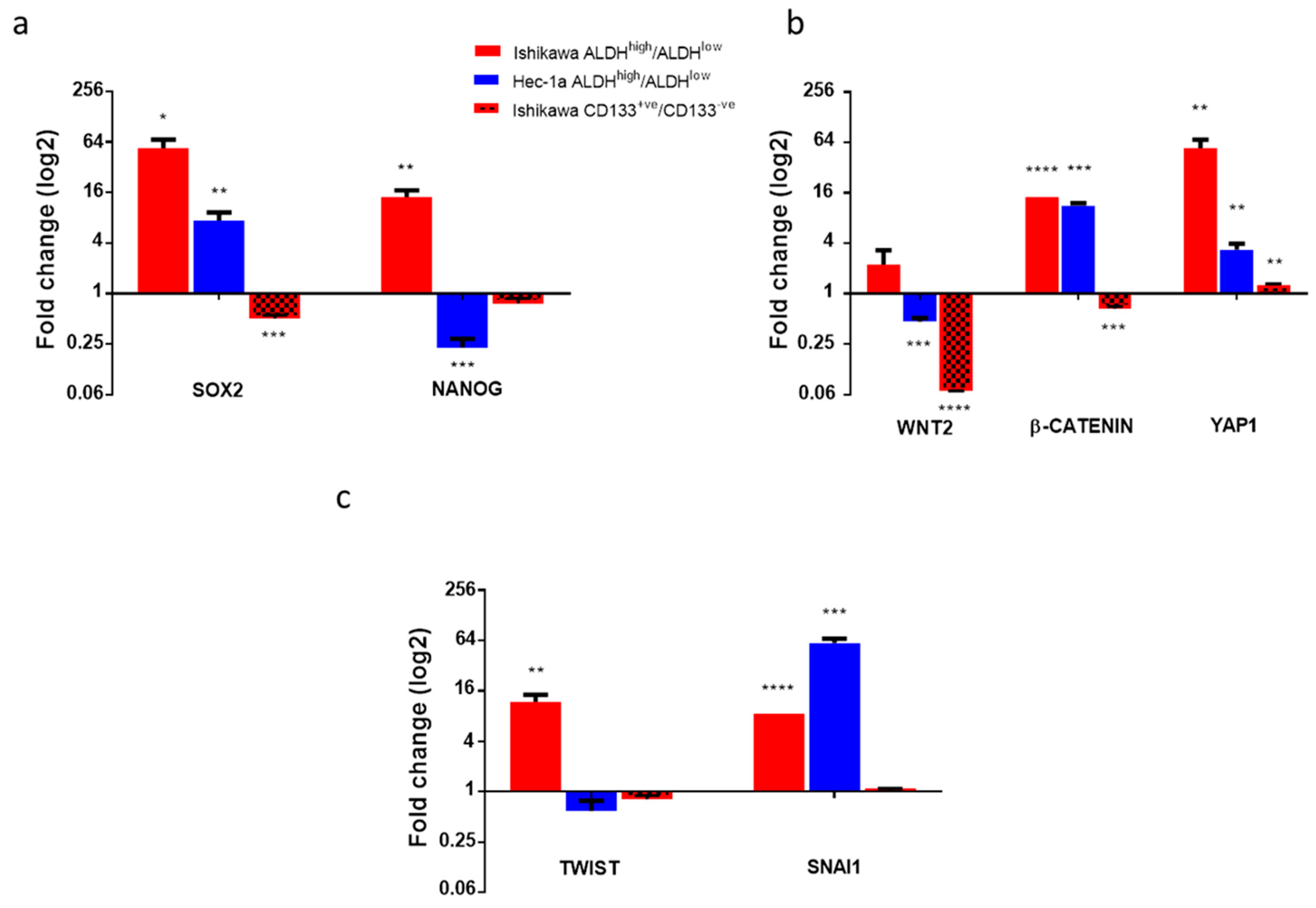 Cancers 11 00653 g002 Cancers 11 00653 g002