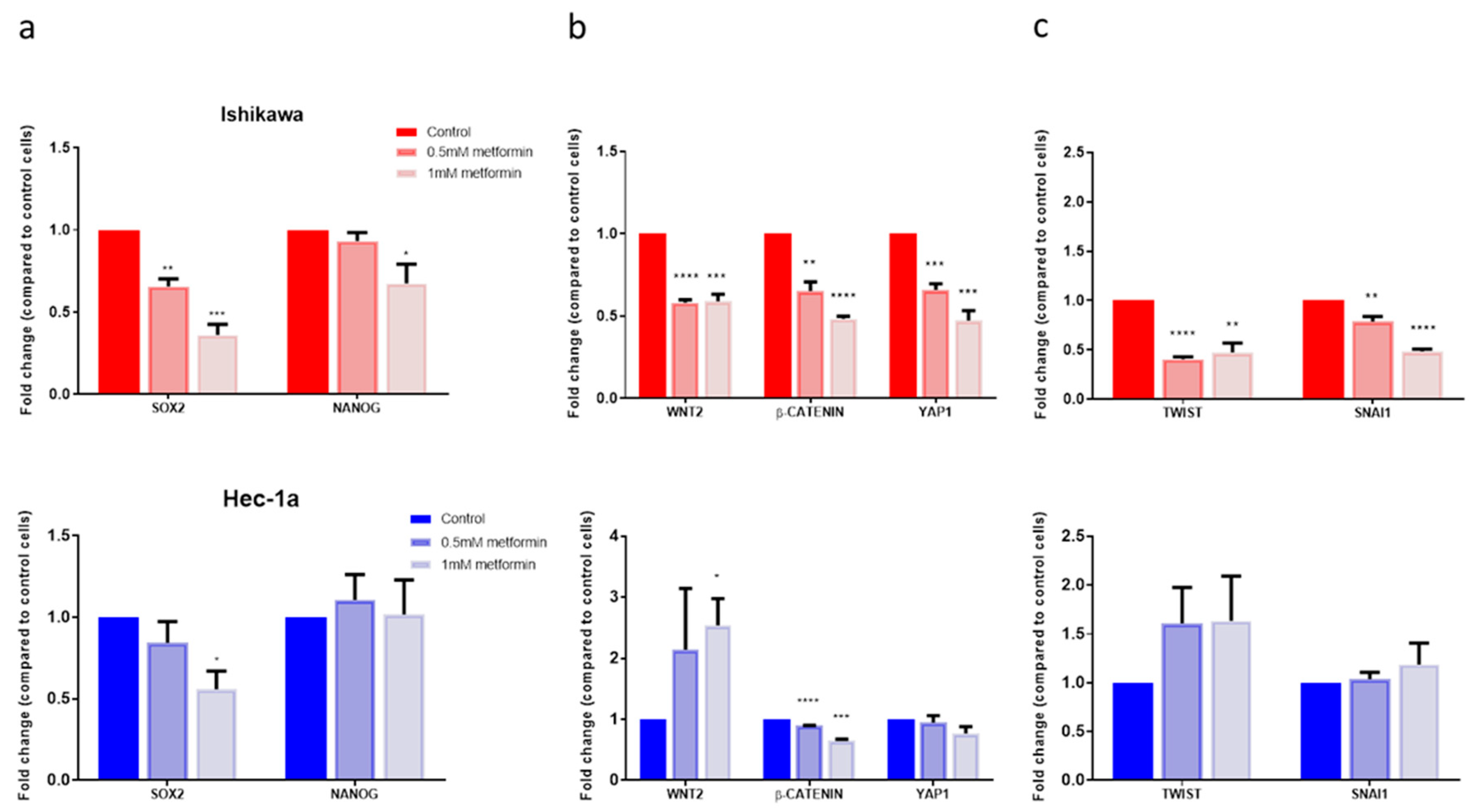 Cancers 11 00653 g004 Cancers 11 00653 g004