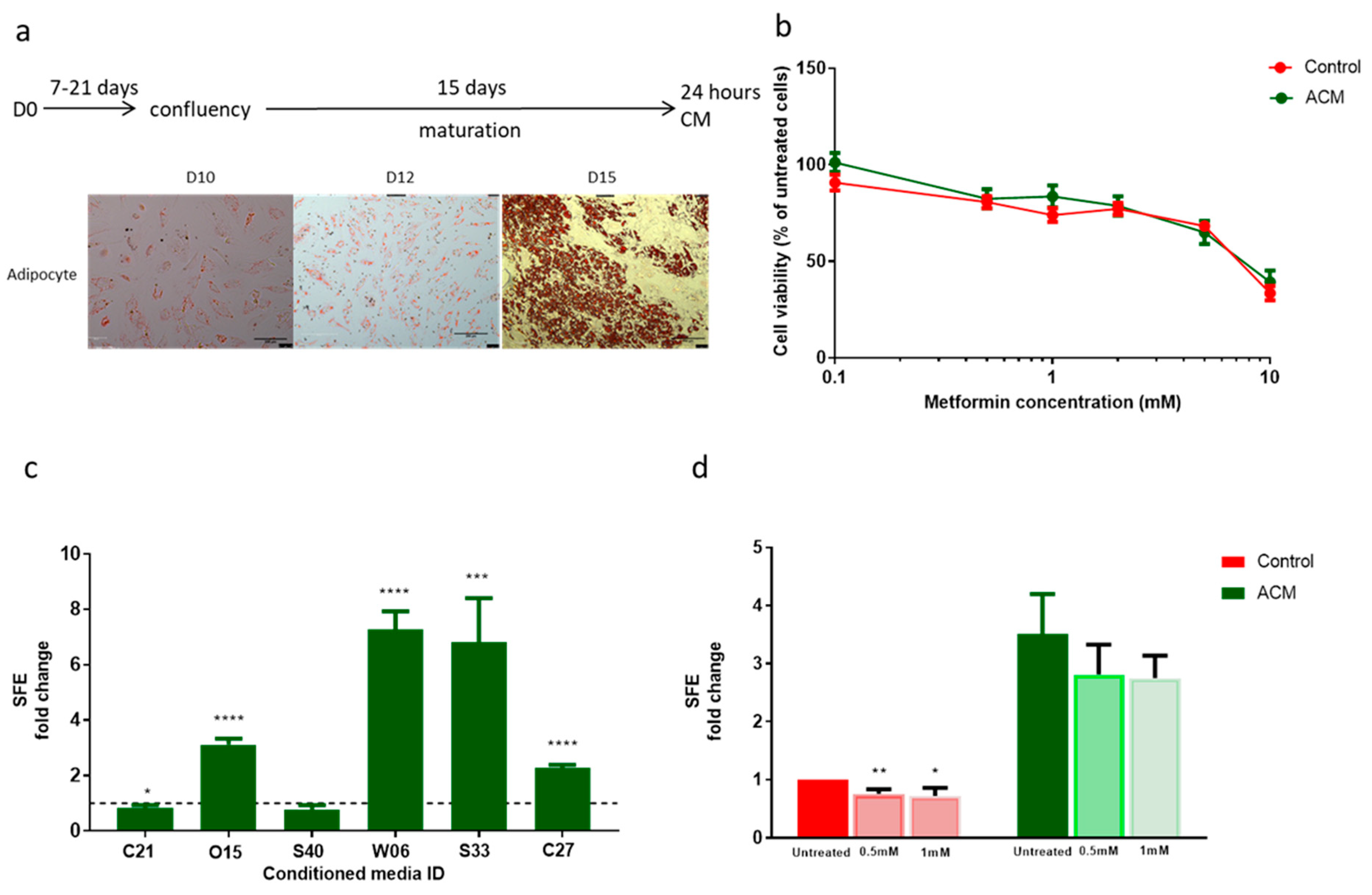 Cancers 11 00653 g005 Cancers 11 00653 g005
