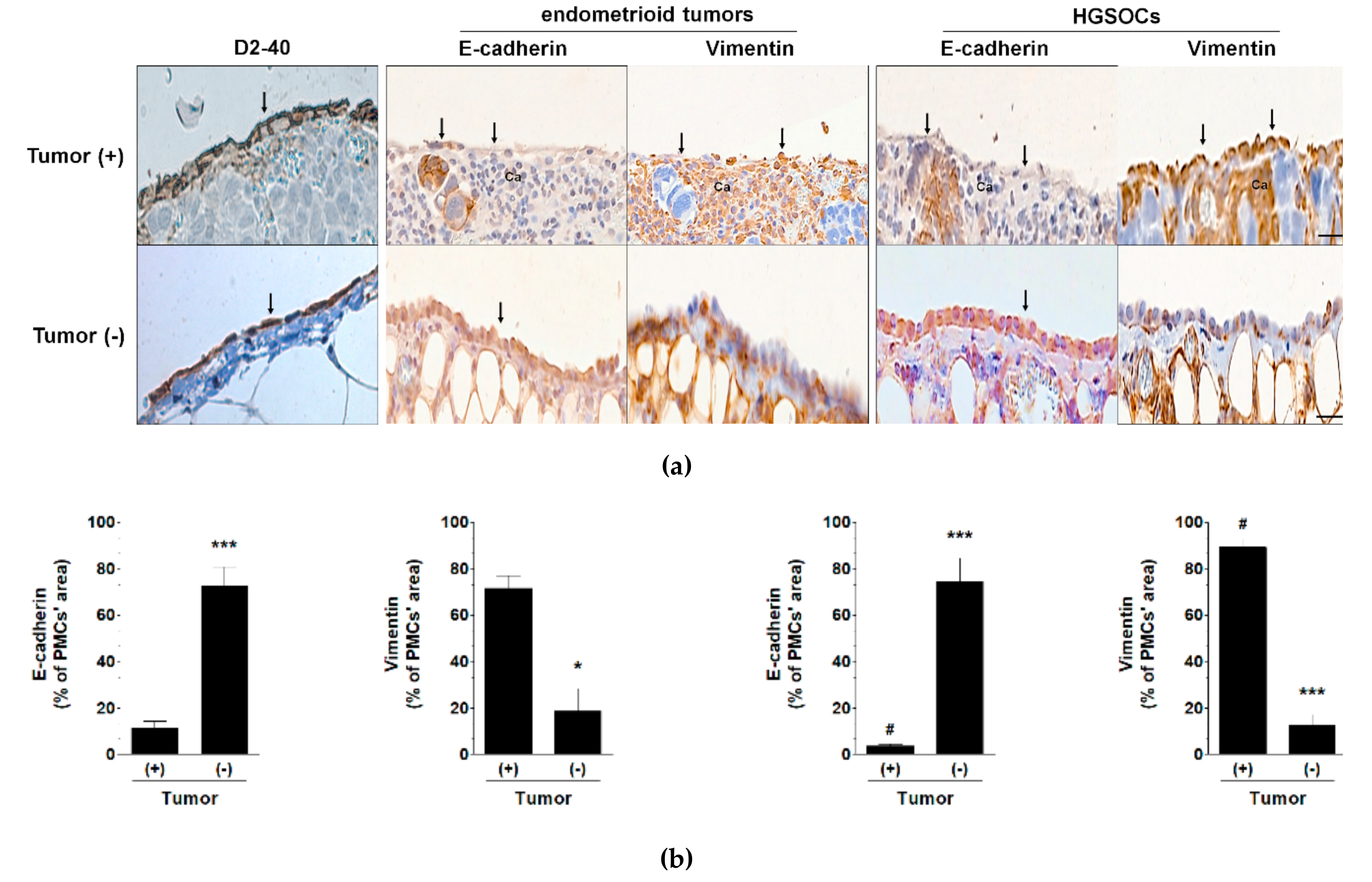 Cancers 11 00662 g002