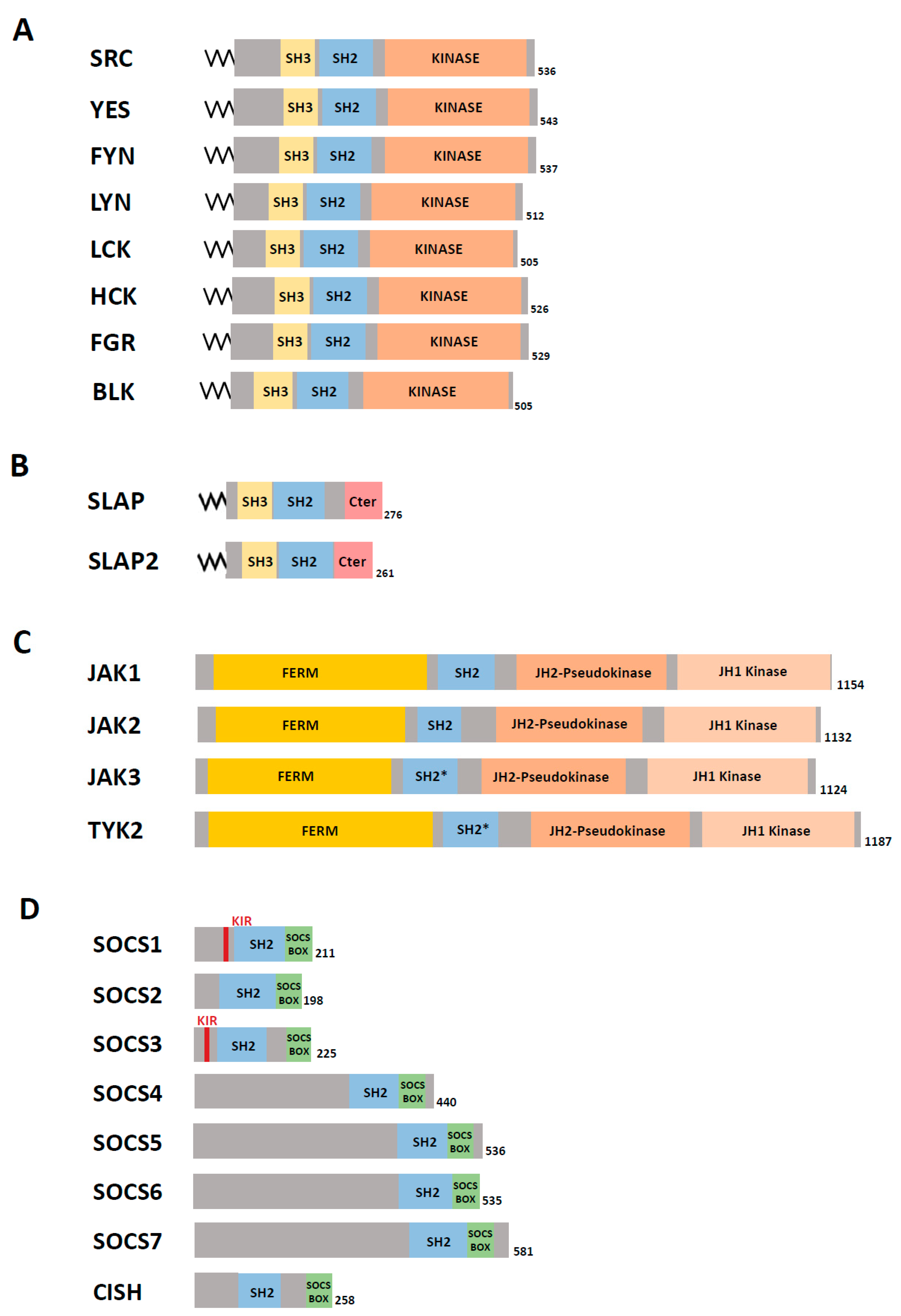 Cancers 11 00669 g002