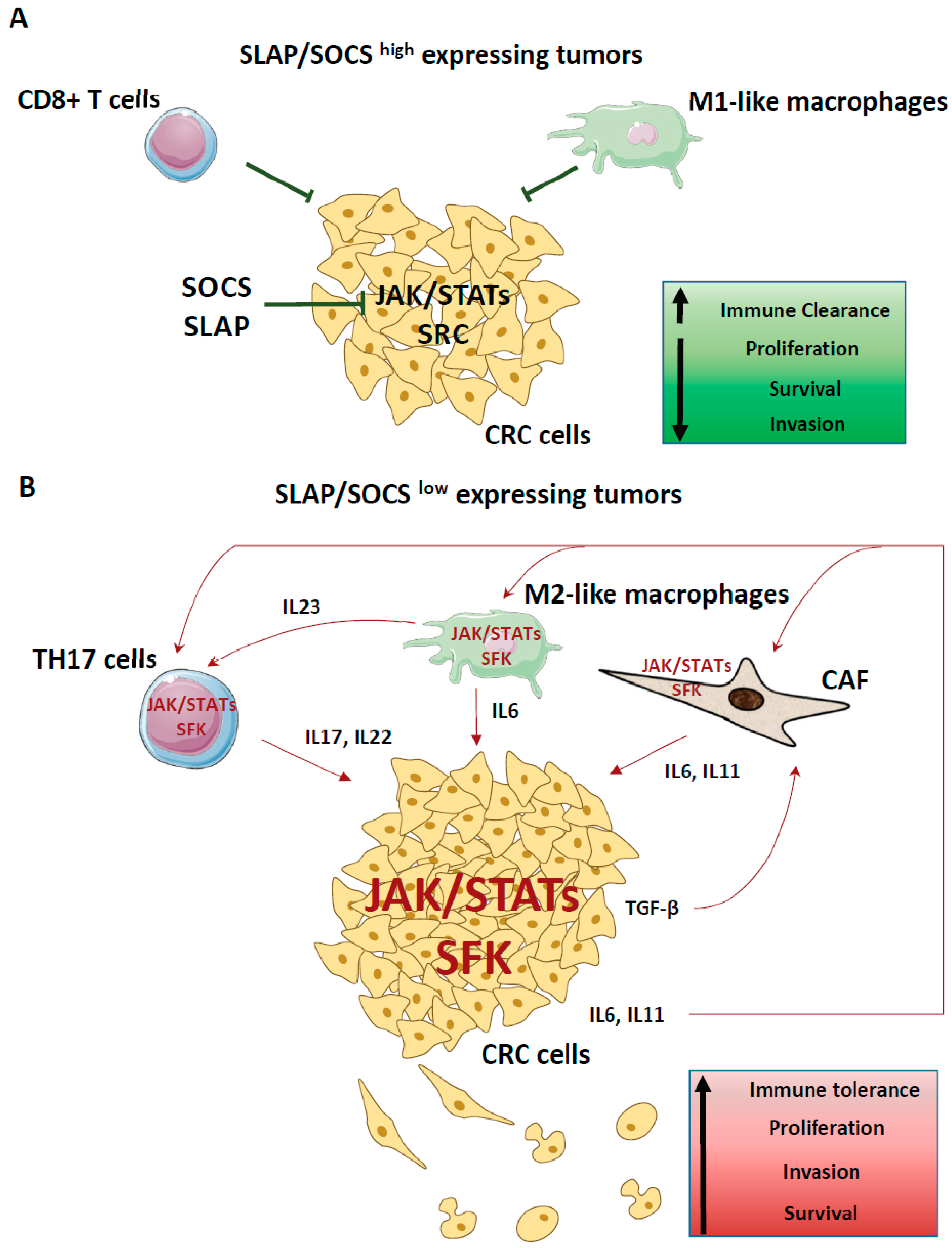 Cancers 11 00669 g004