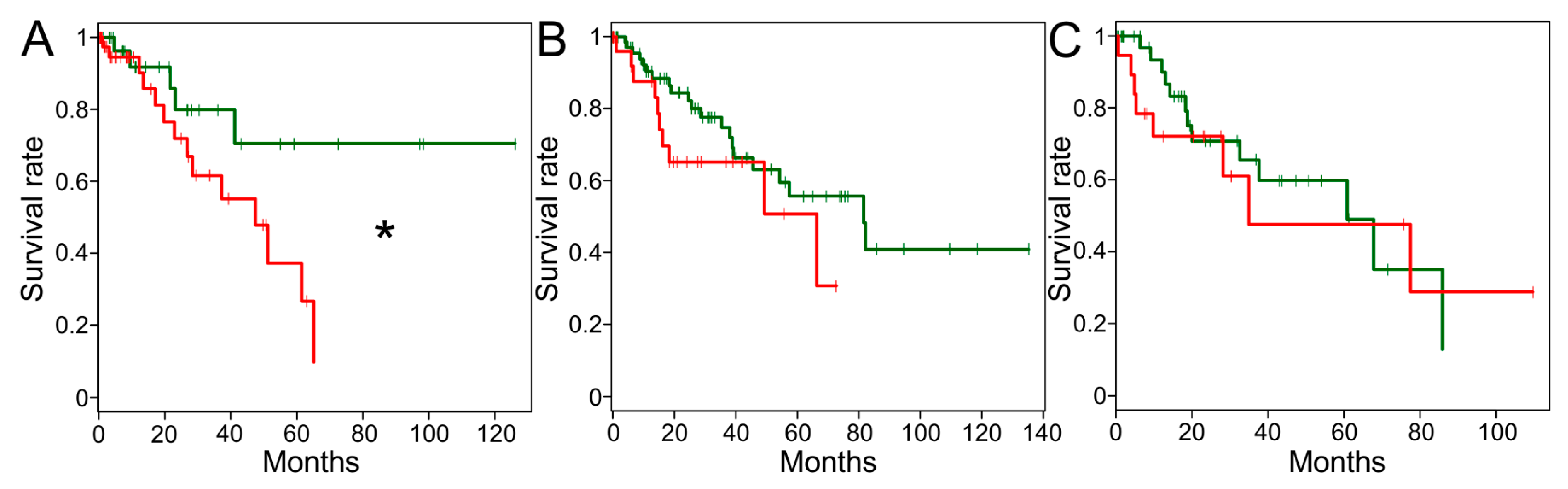 Cancers 11 00677 g005