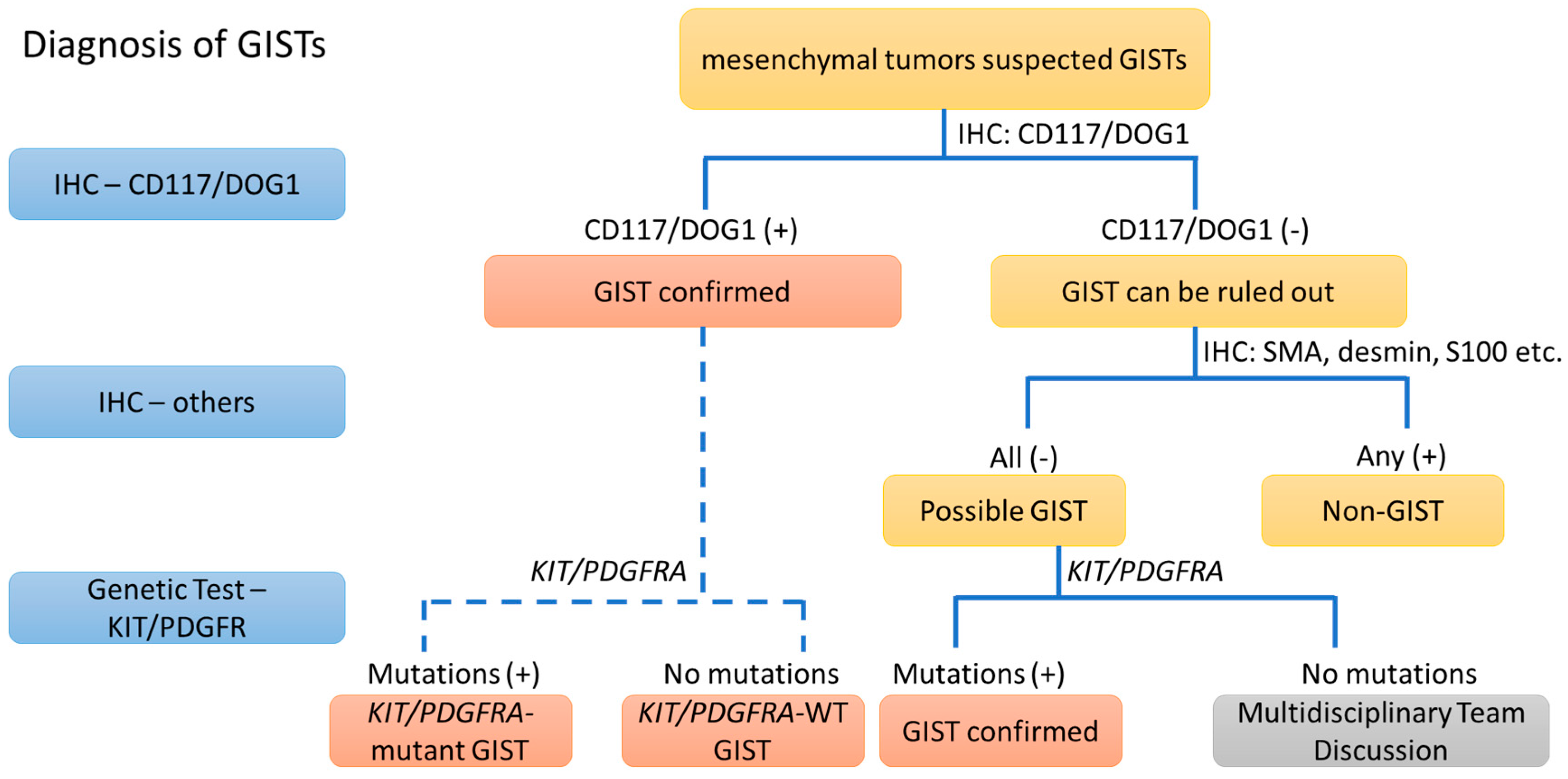 Tumor de gist esperanza de vida