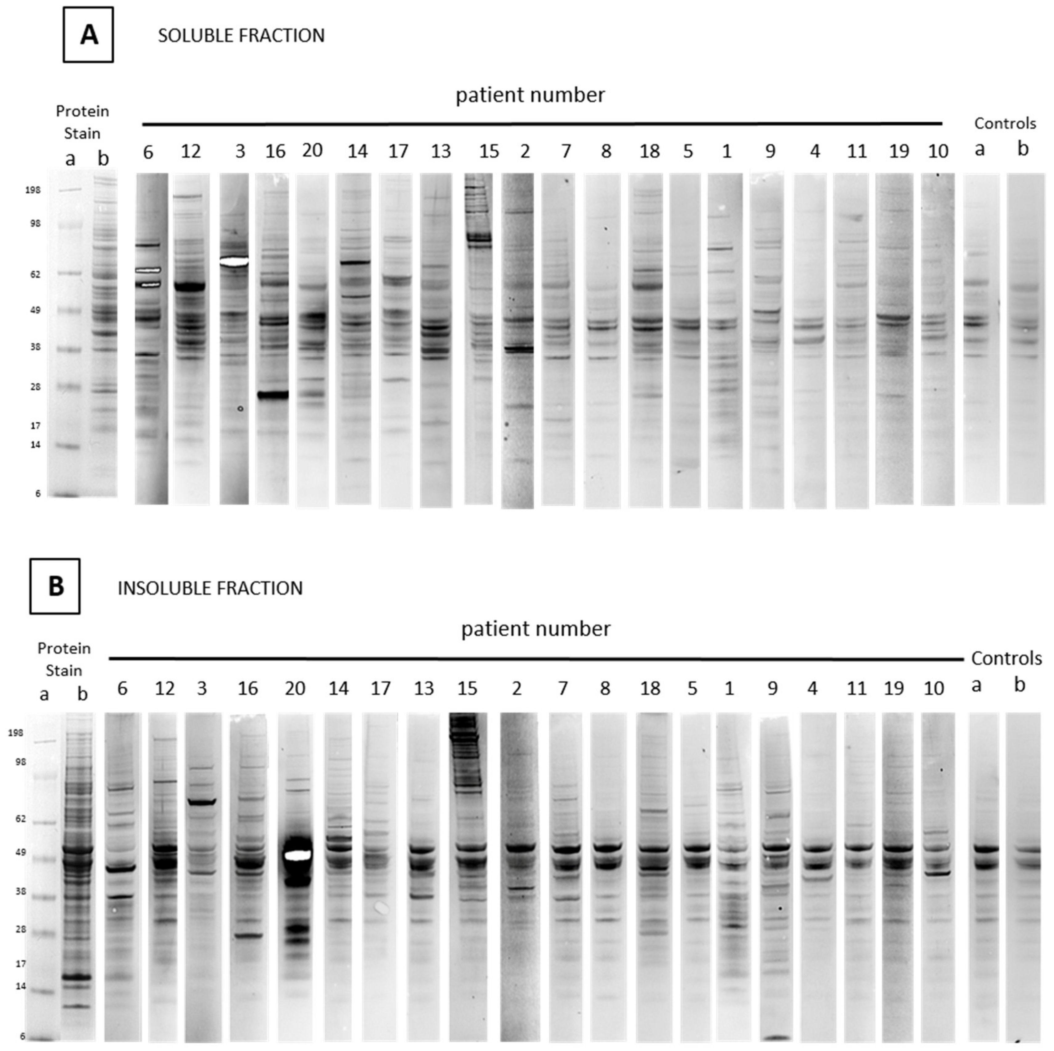 Cancers 11 00682 g001