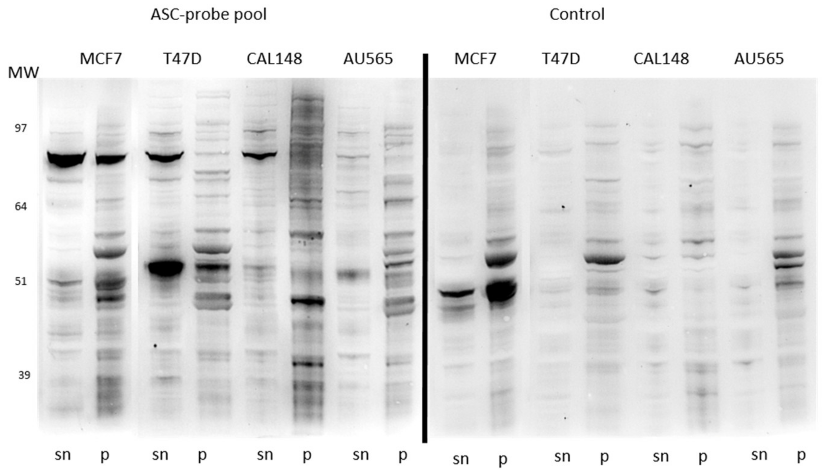 Cancers 11 00682 g002