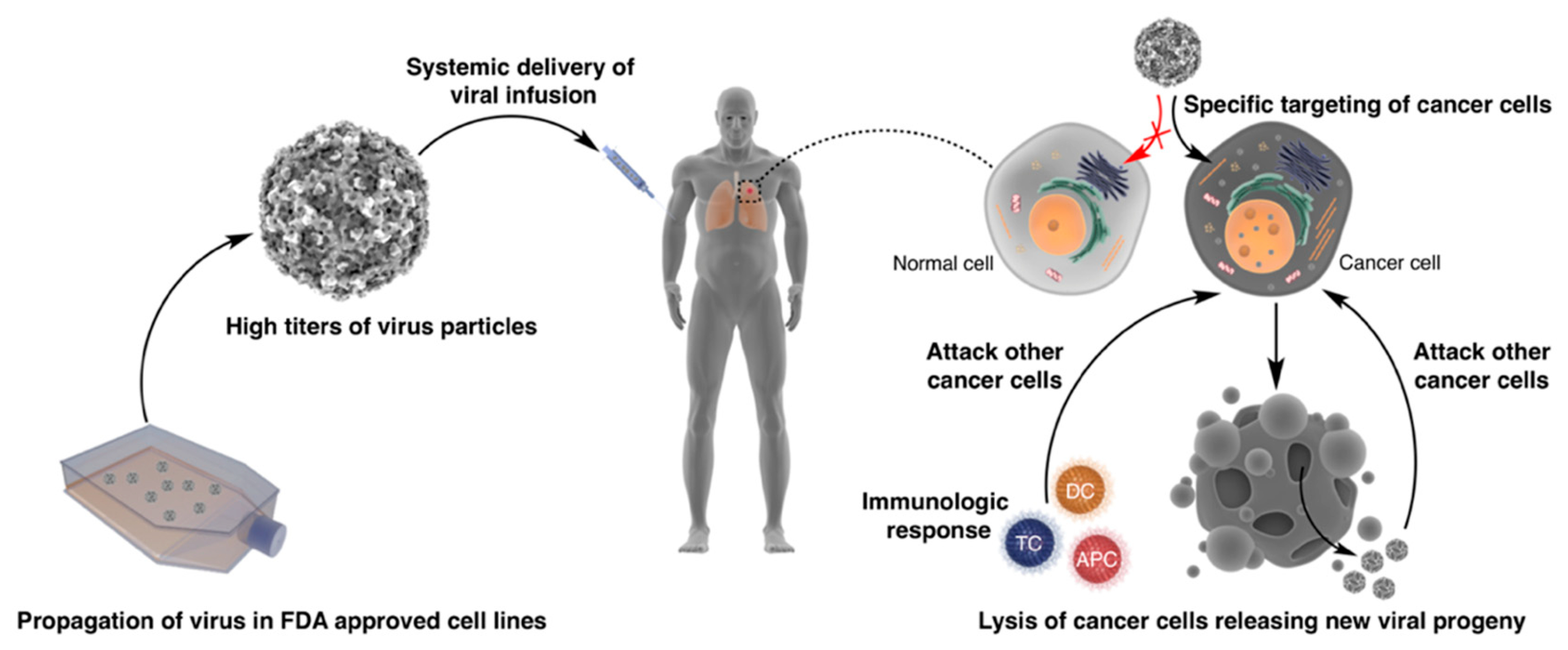 Cancers 11 00685 g001
