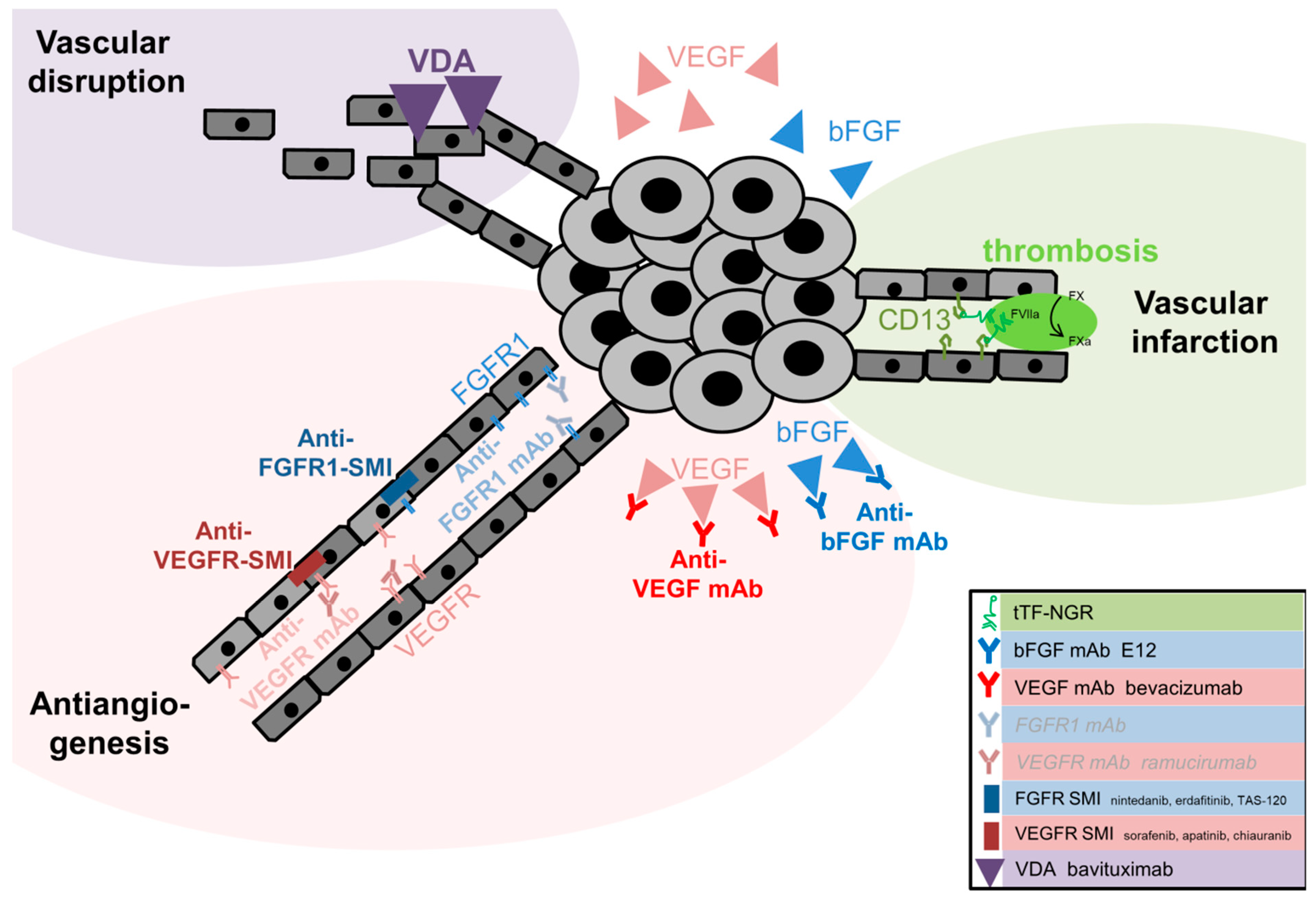 Cancers 11 00690 g001 Cancers 11 00690 g001