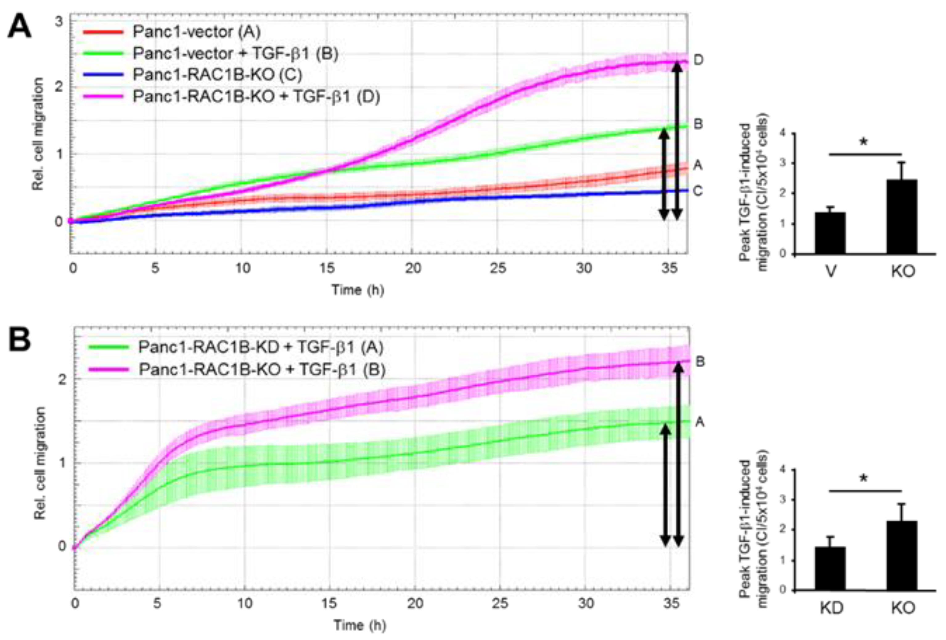Cancers 11 00691 g003 Cancers 11 00691 g003