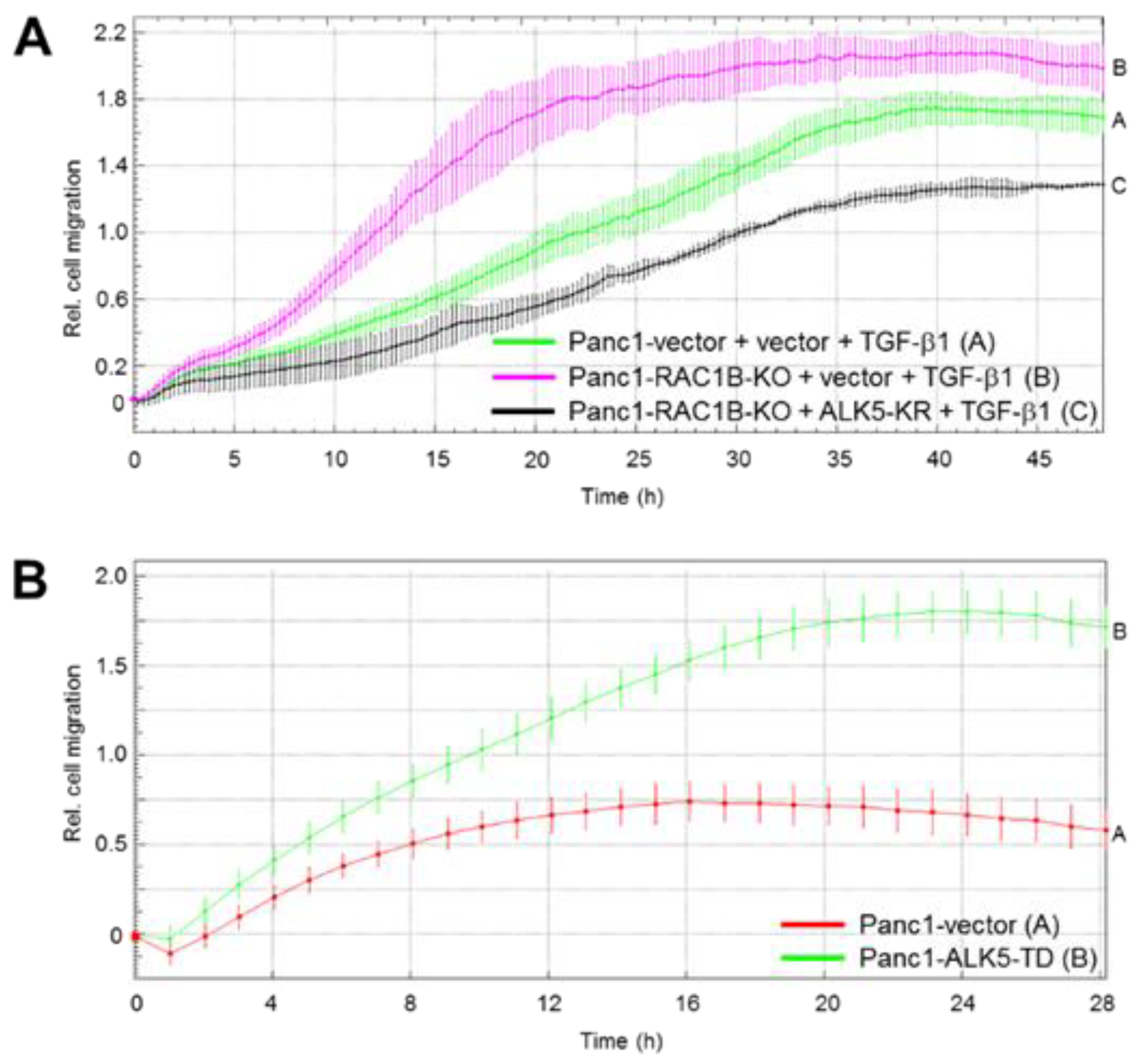 Cancers 11 00691 g005 Cancers 11 00691 g005