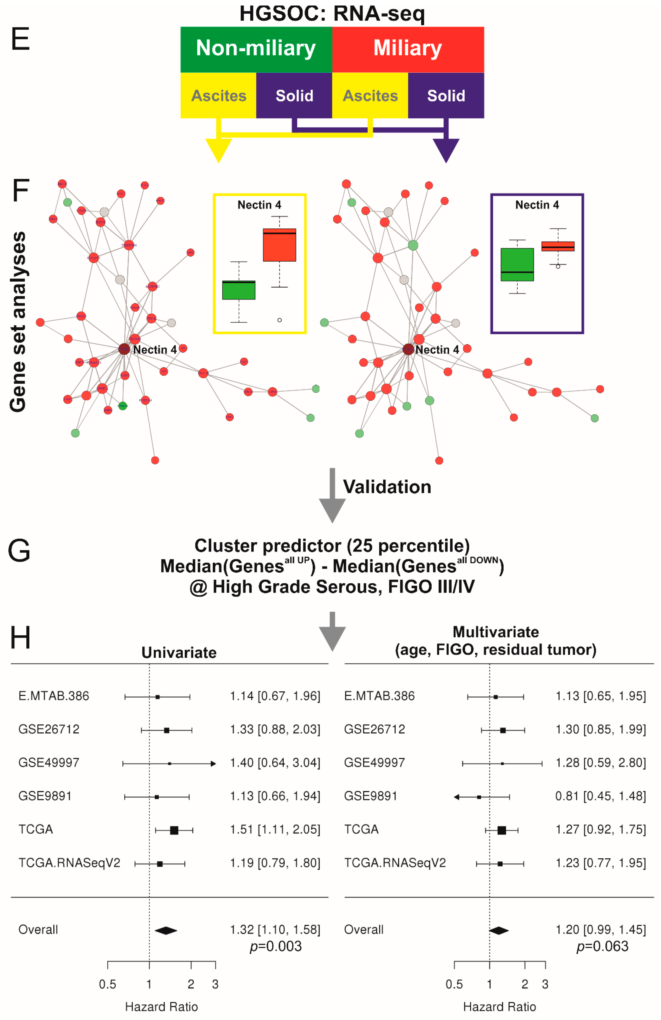 Cancers 11 00698 g002b