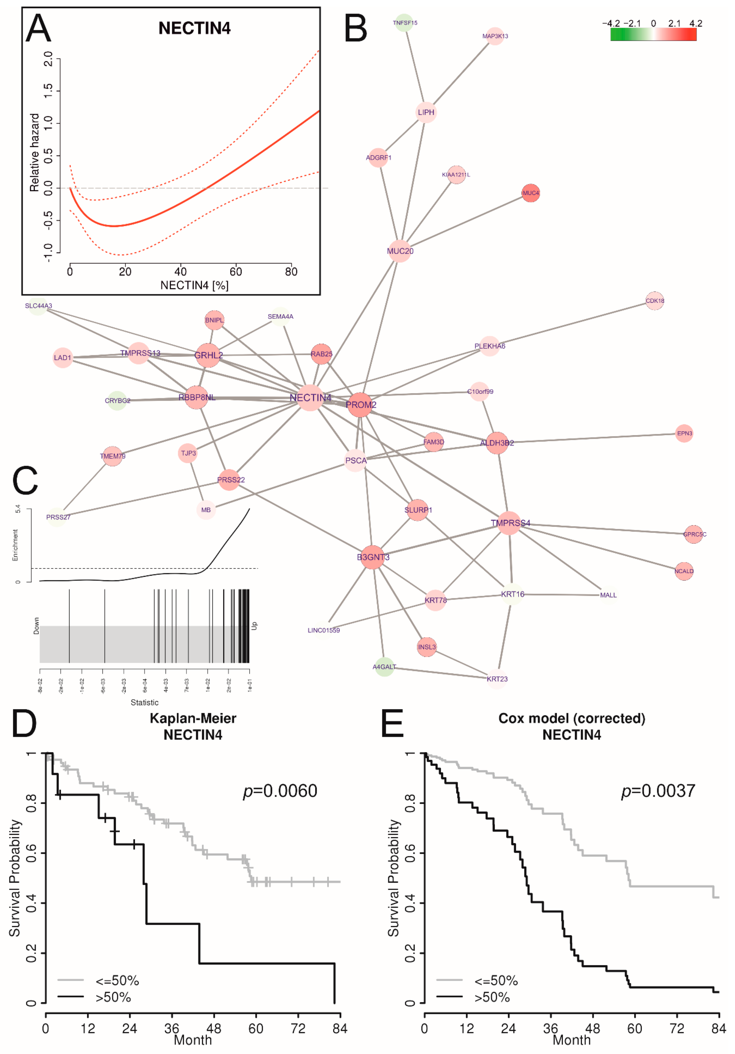 Cancers 11 00698 g004