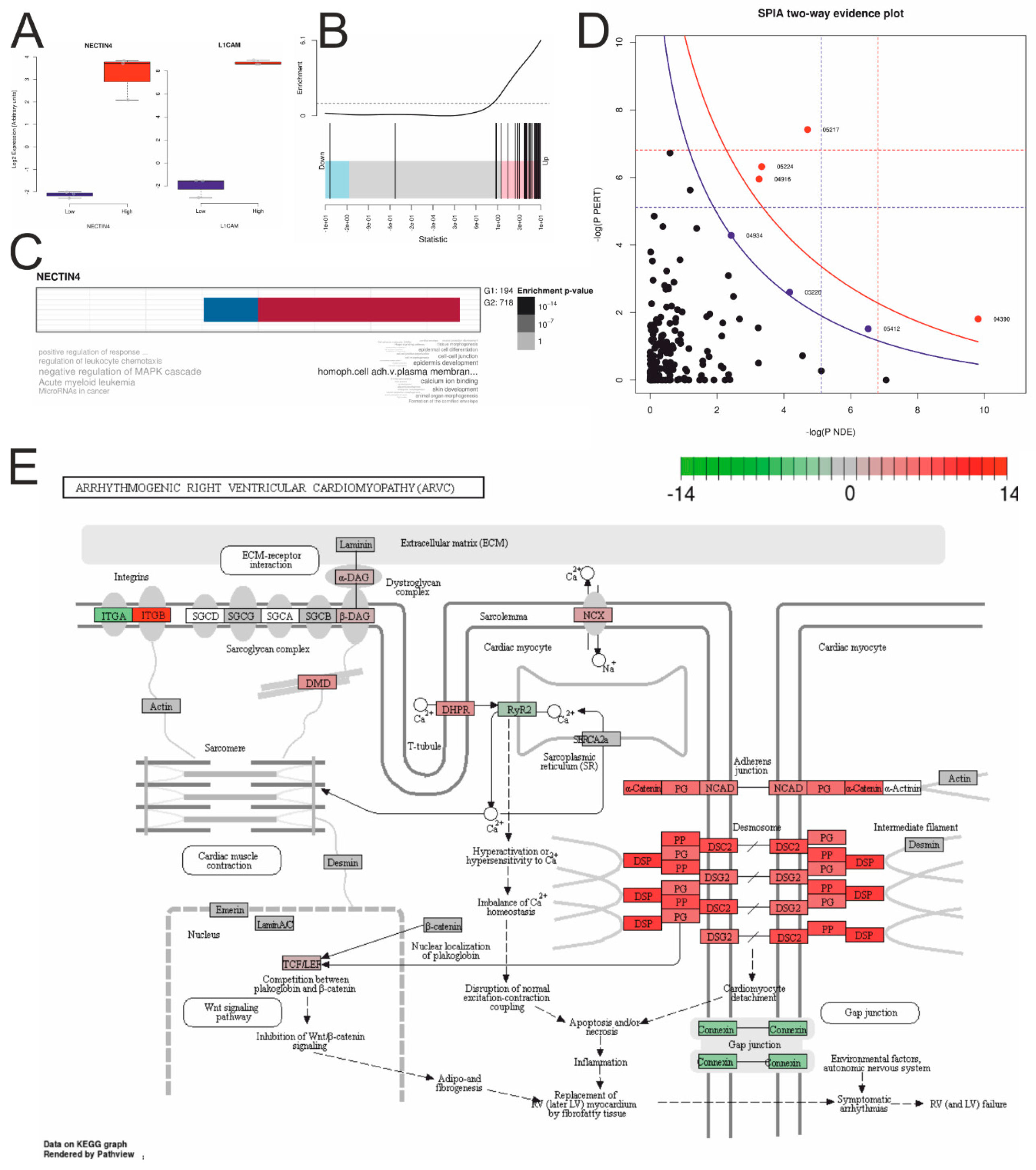 Cancers 11 00698 g006
