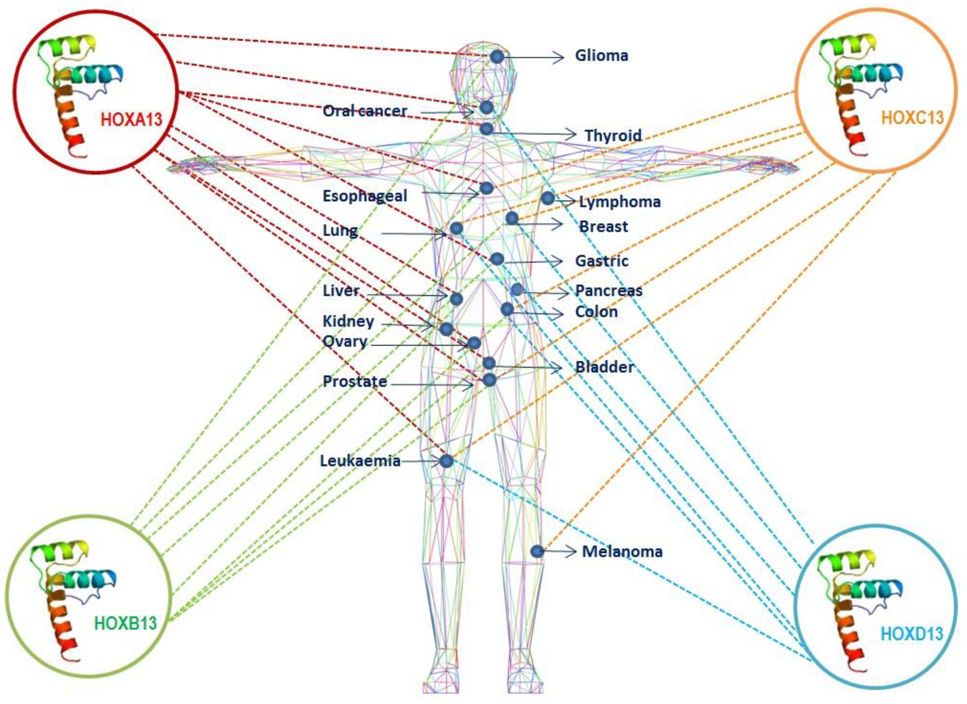 Cancers 11 00699 g001 Cancers 11 00699 g001