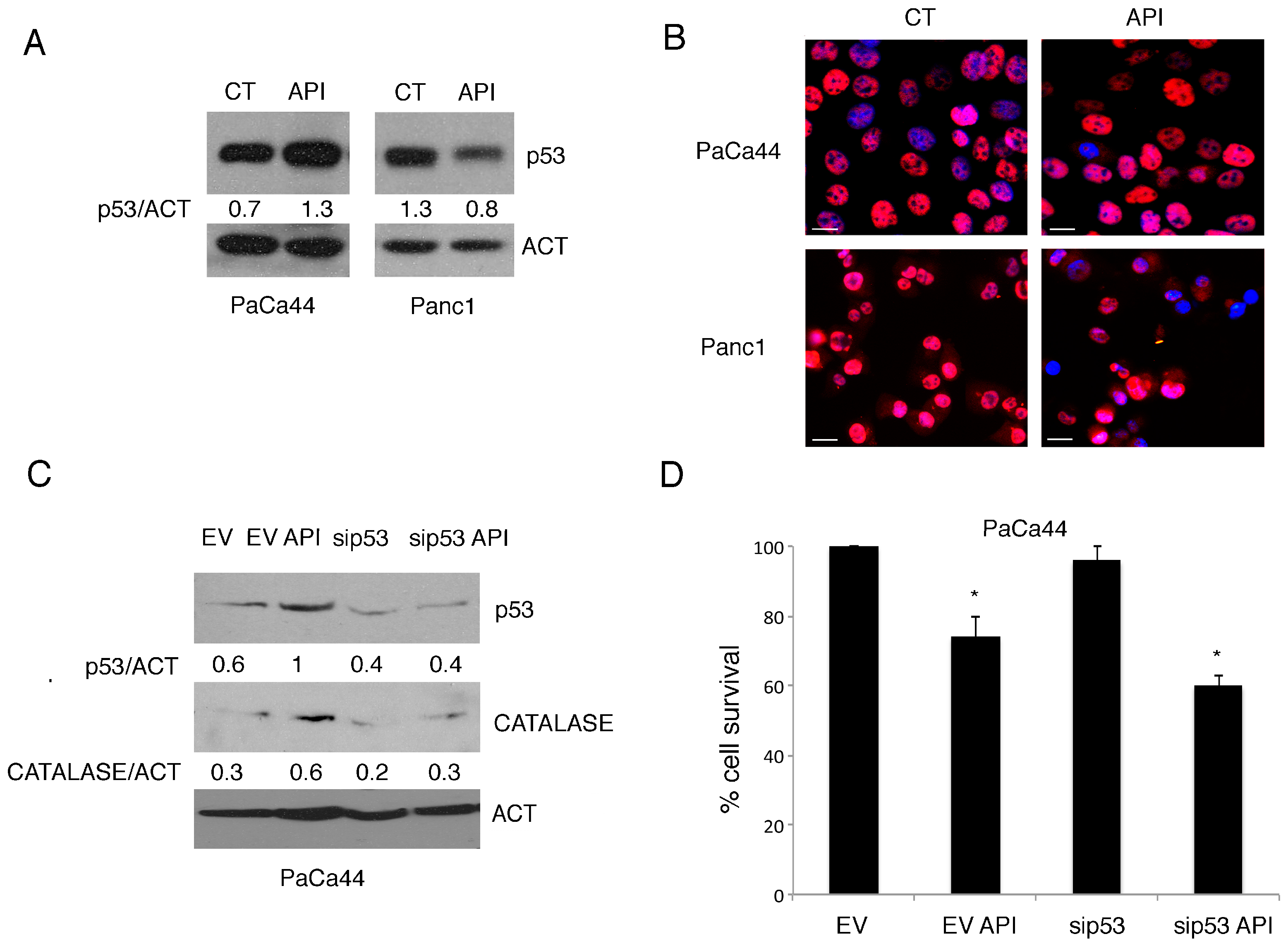 Cancers 11 00703 g003