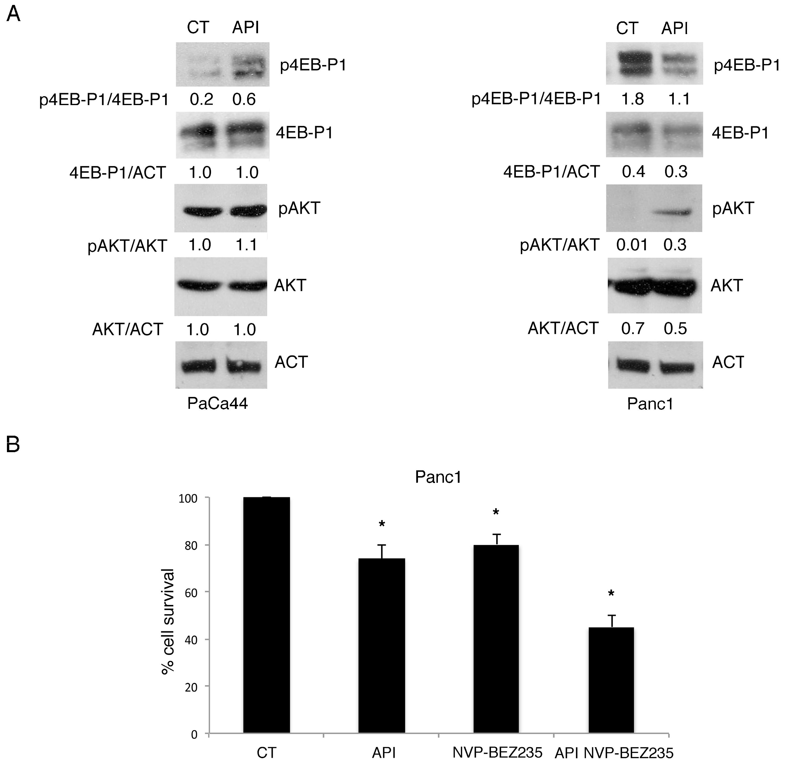 Cancers 11 00703 g007