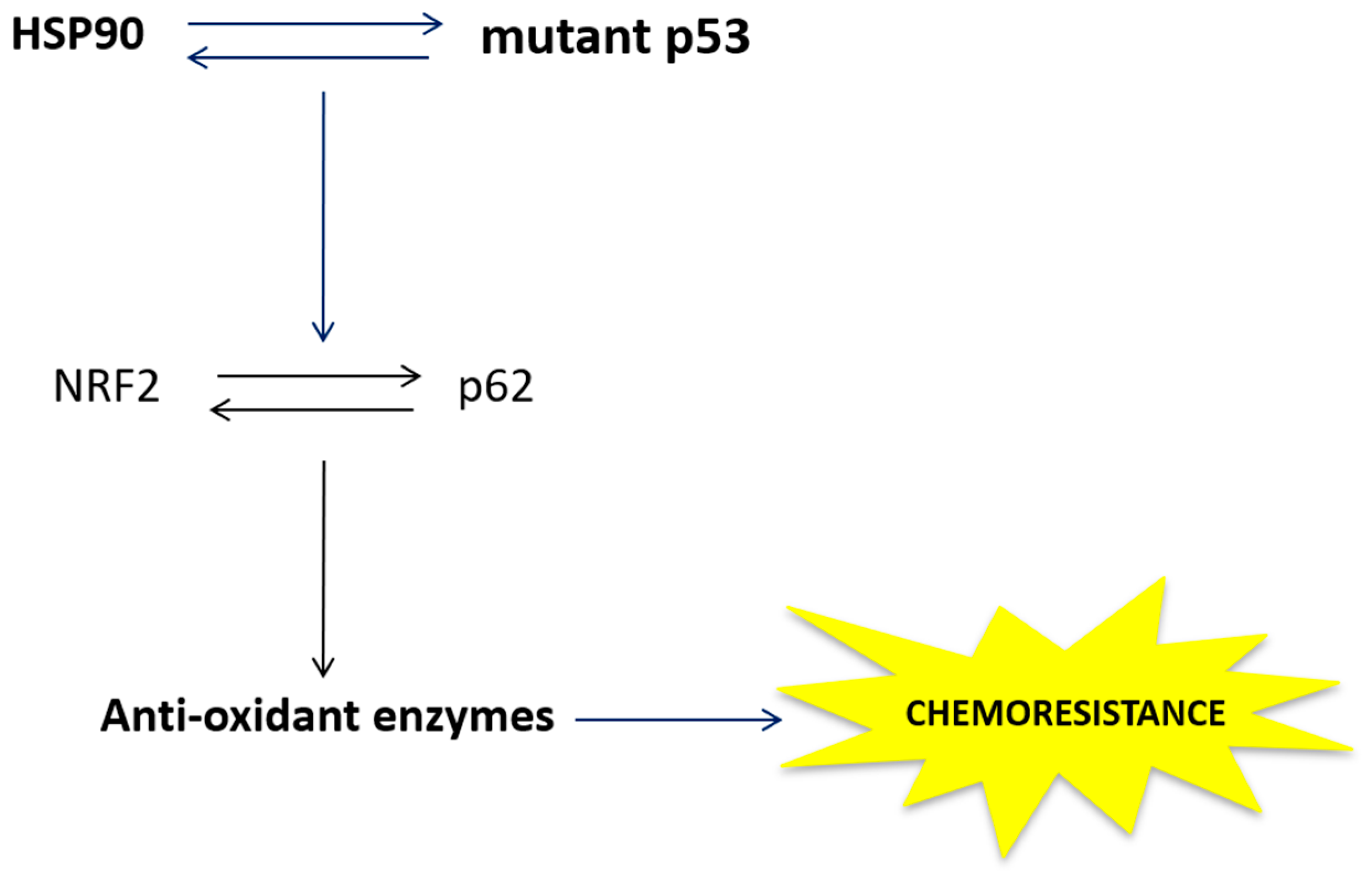 Cancers 11 00703 g008