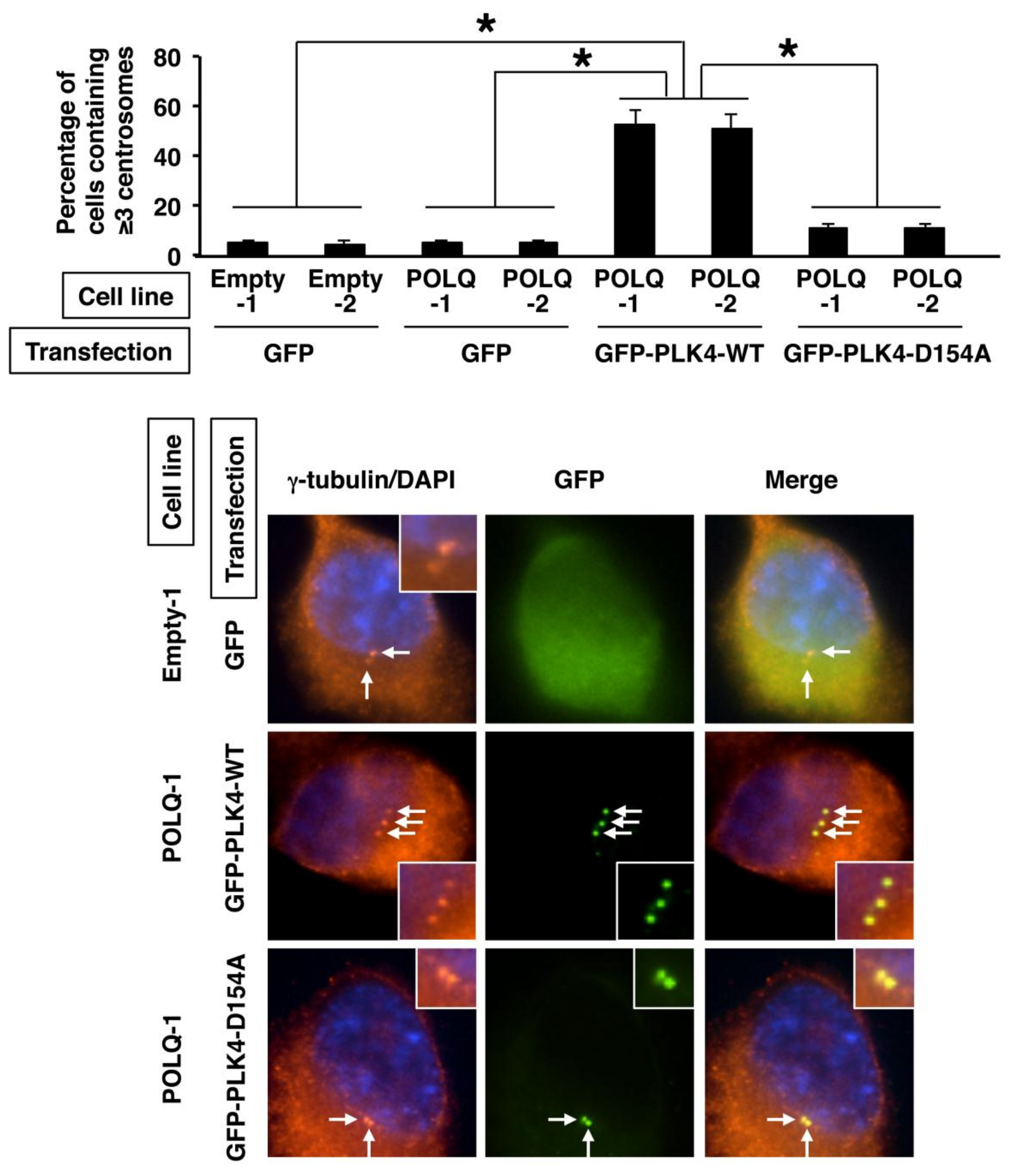 Cancers 11 00722 g005 Cancers 11 00722 g005
