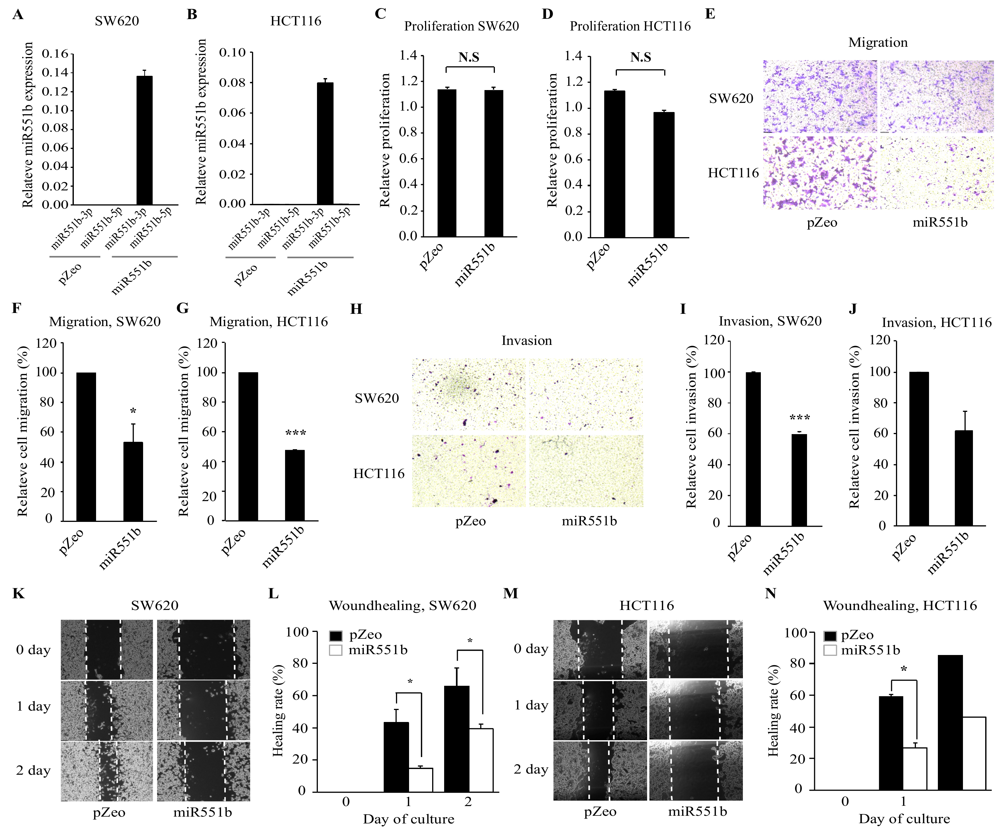 Cancers 11 00735 g002 Cancers 11 00735 g002