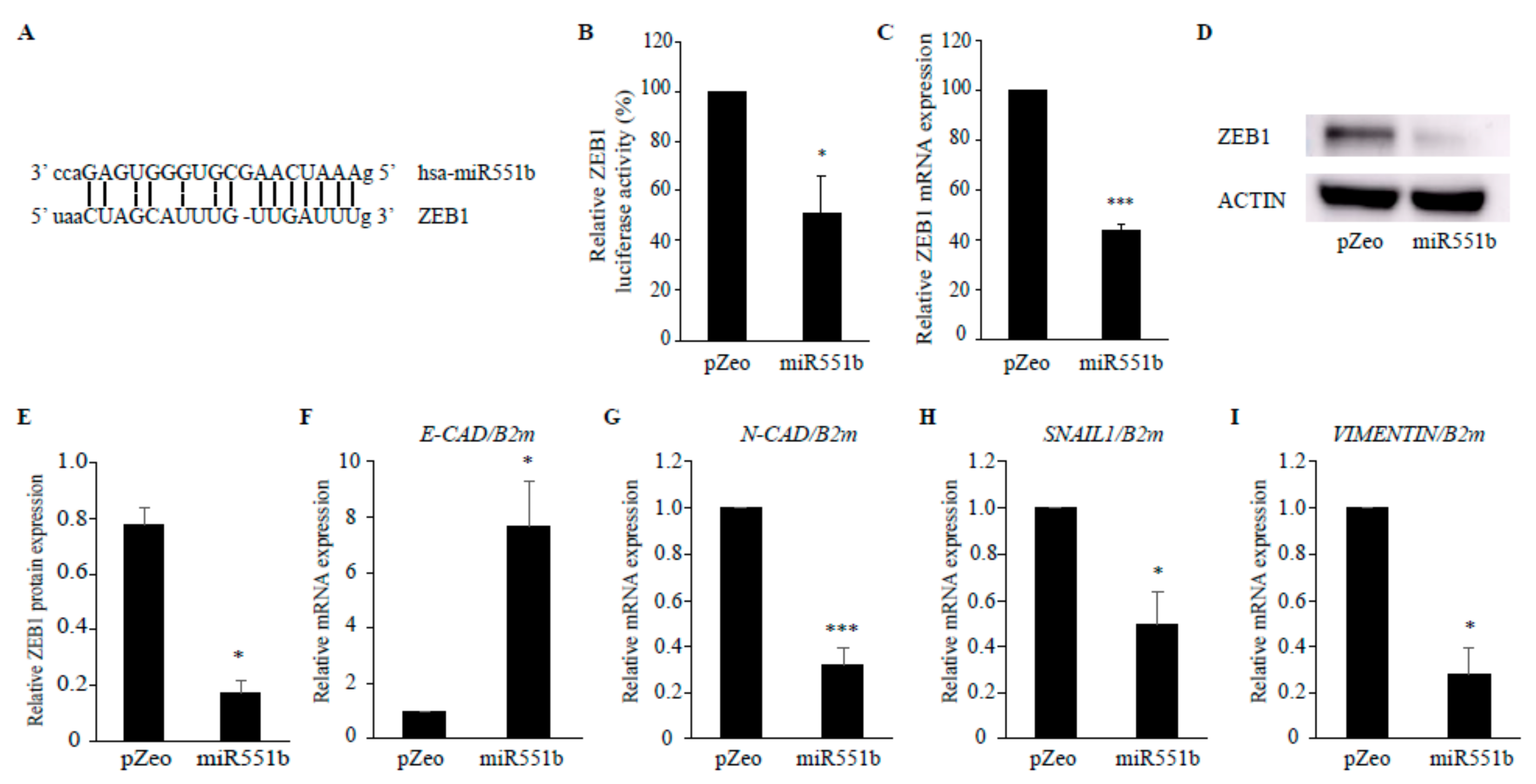 Cancers 11 00735 g004 Cancers 11 00735 g004