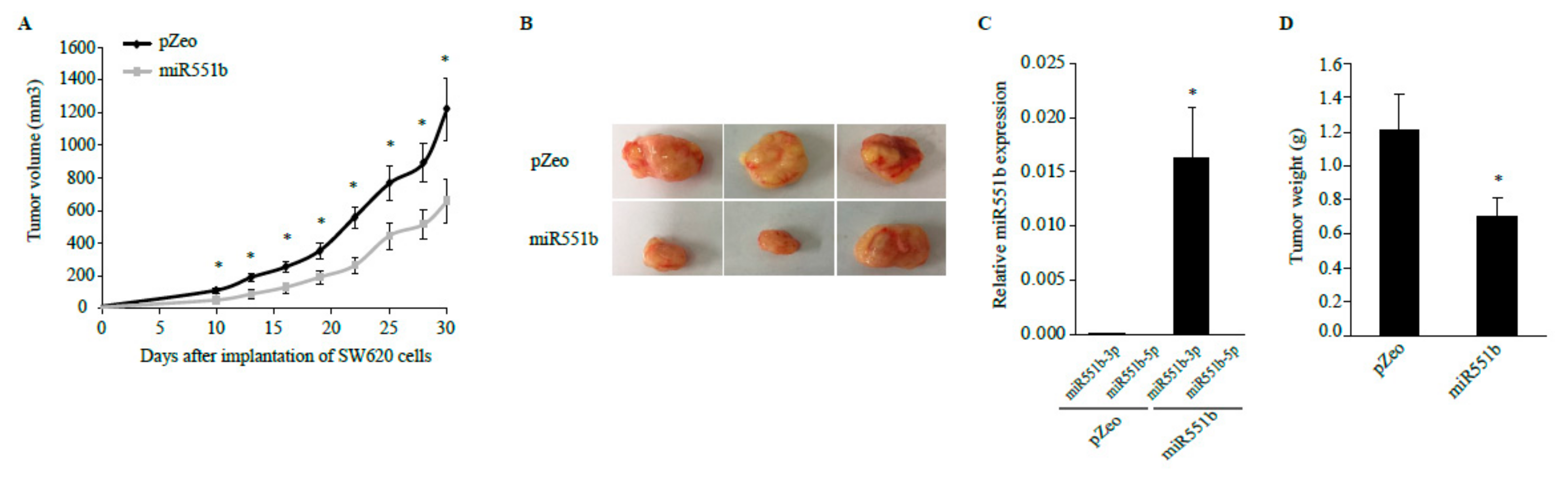 Cancers 11 00735 g005 Cancers 11 00735 g005