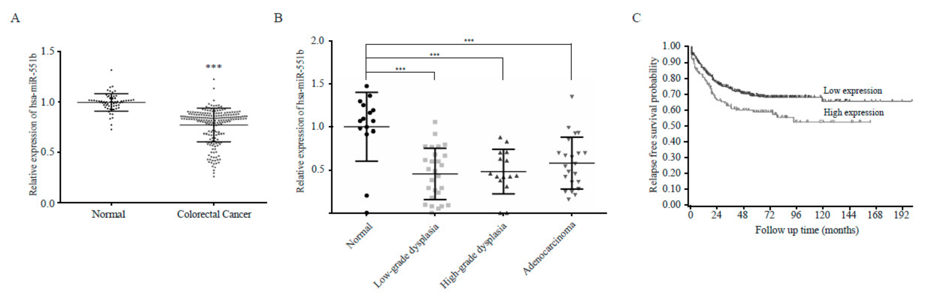 Cancers 11 00735 g006 Cancers 11 00735 g006