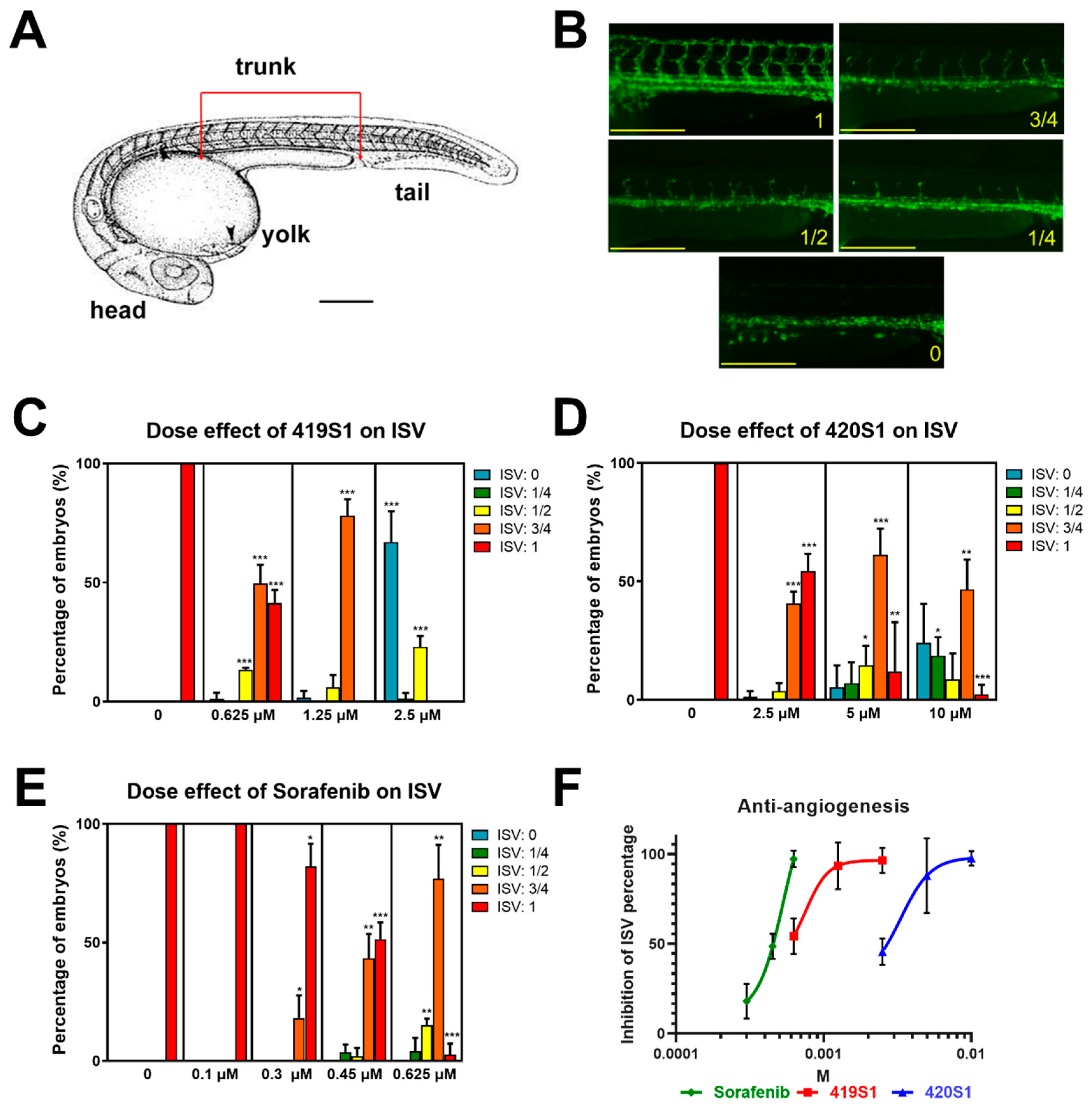 Cancers 11 00739 g001