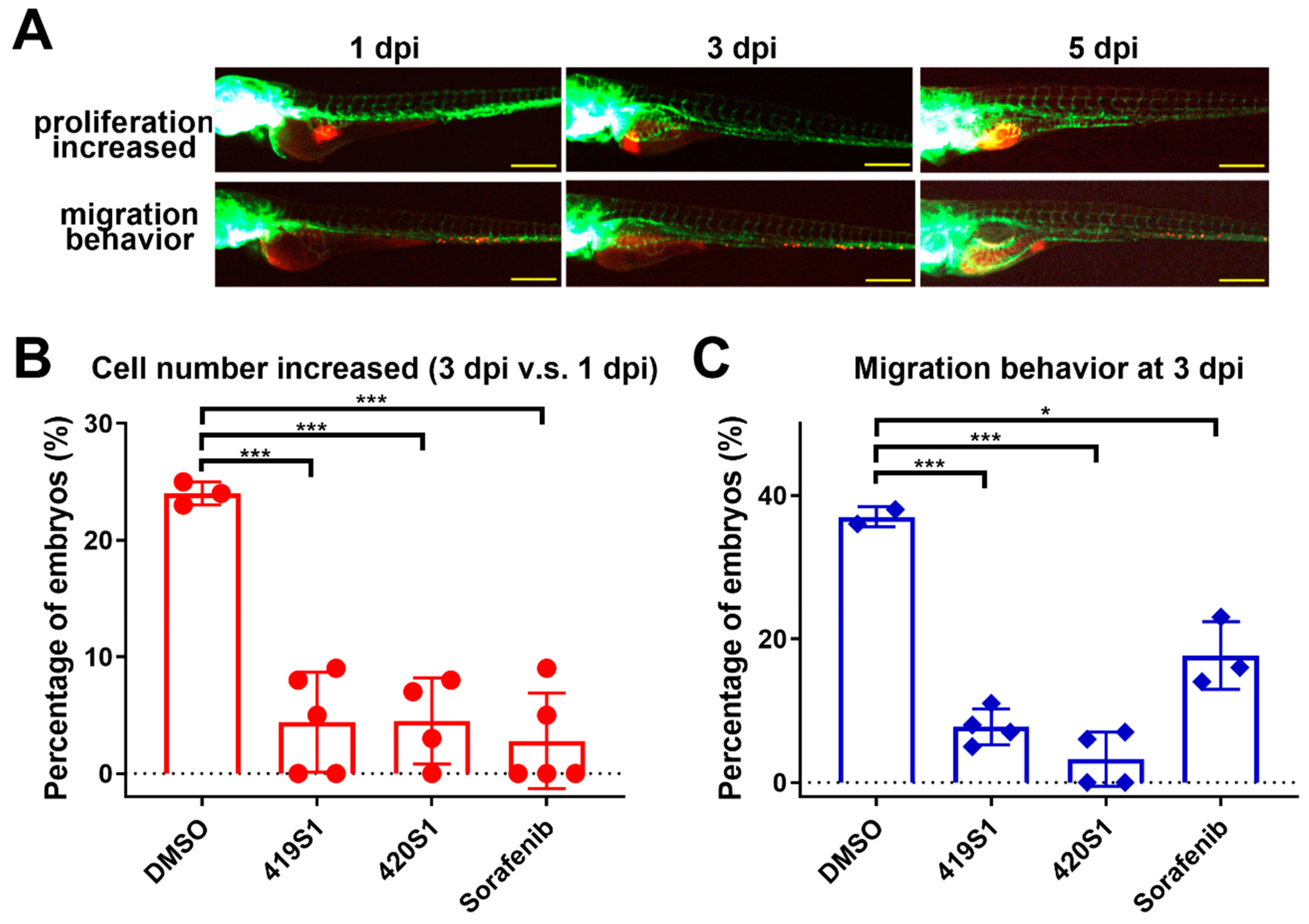 Cancers 11 00739 g002