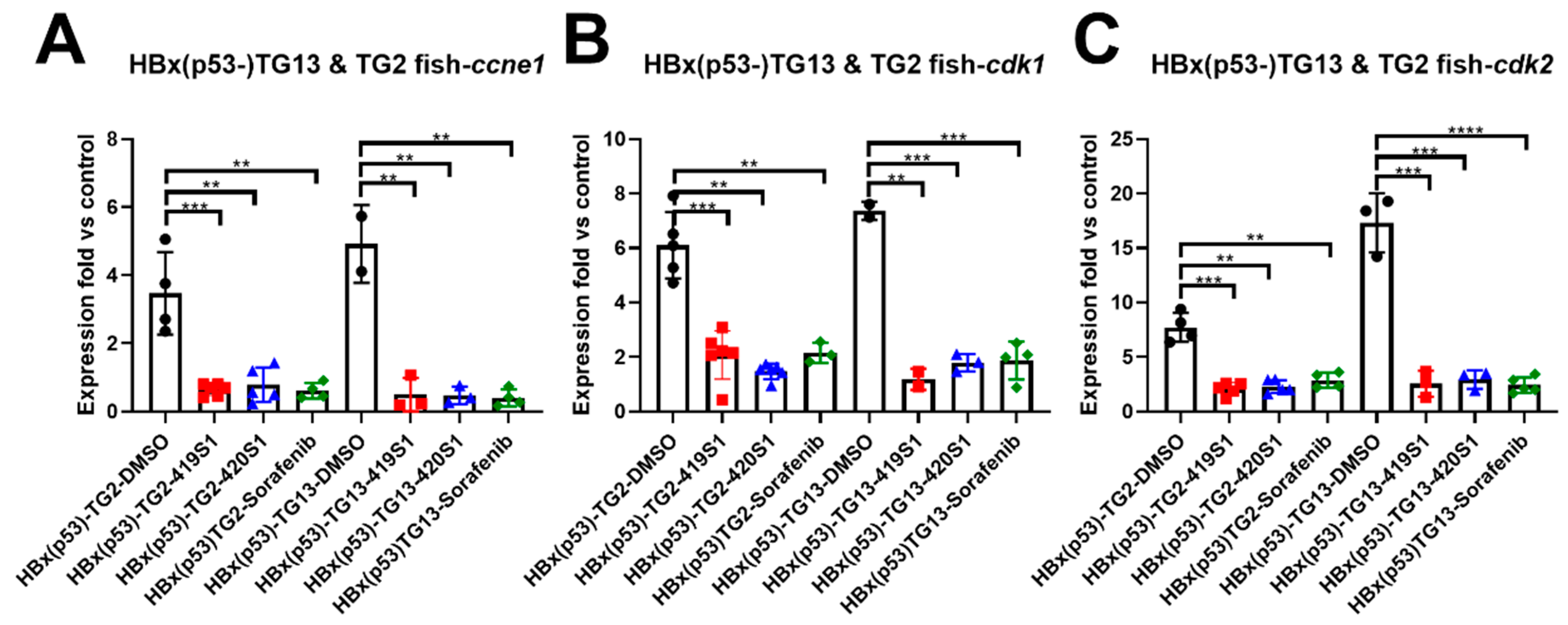 Cancers 11 00739 g006