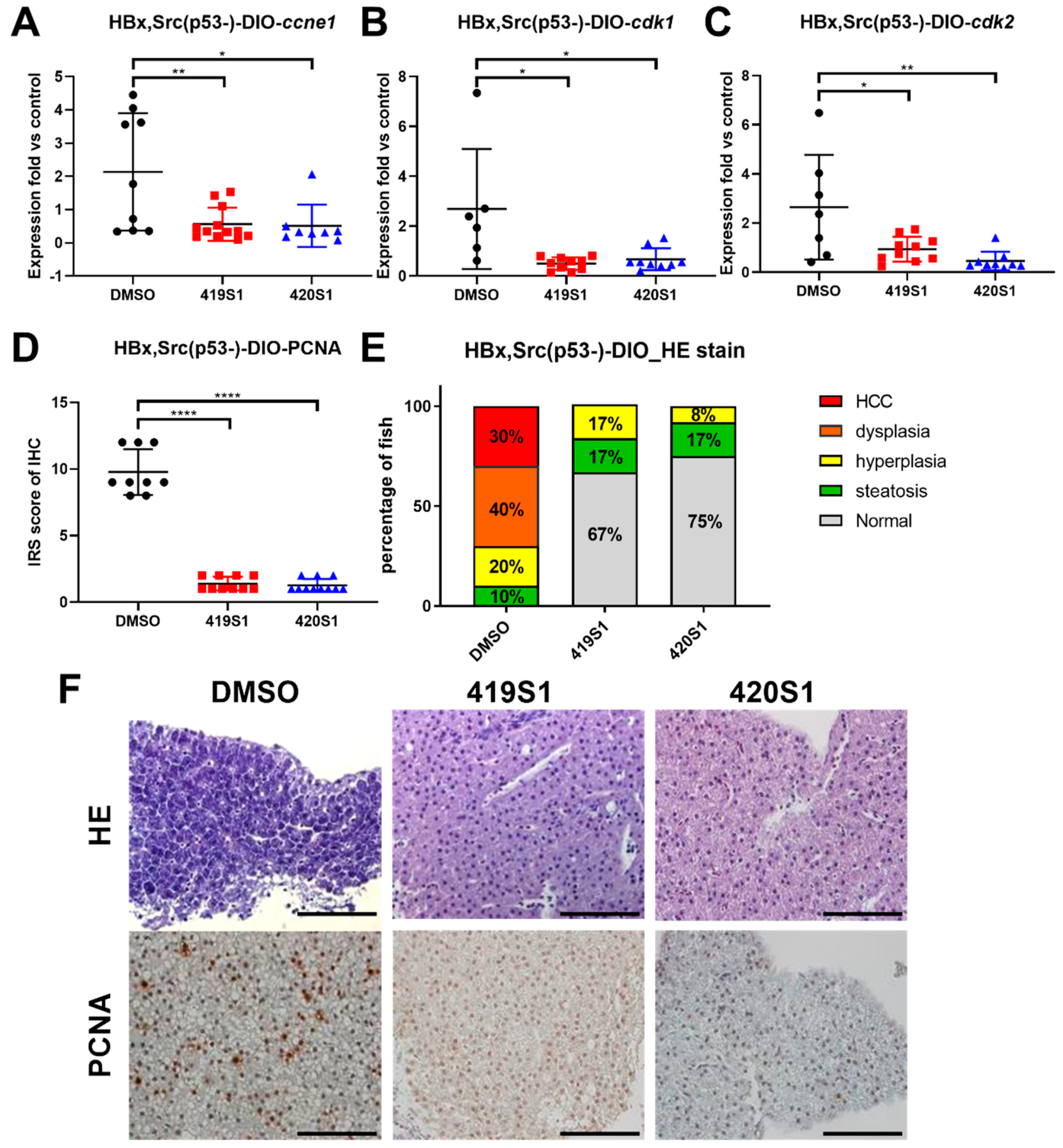 Cancers 11 00739 g007