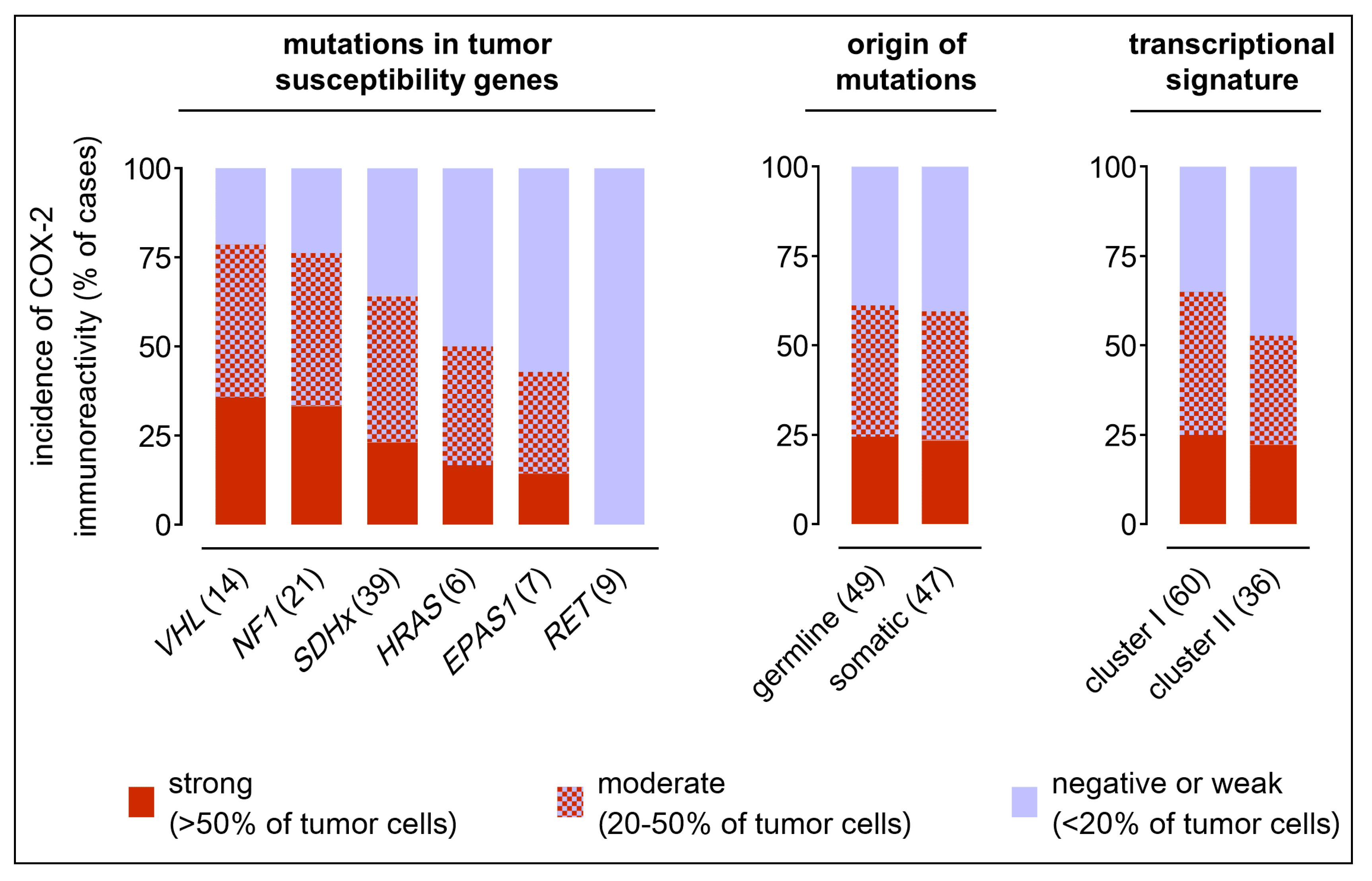 Cancers 11 00743 g003 Cancers 11 00743 g003