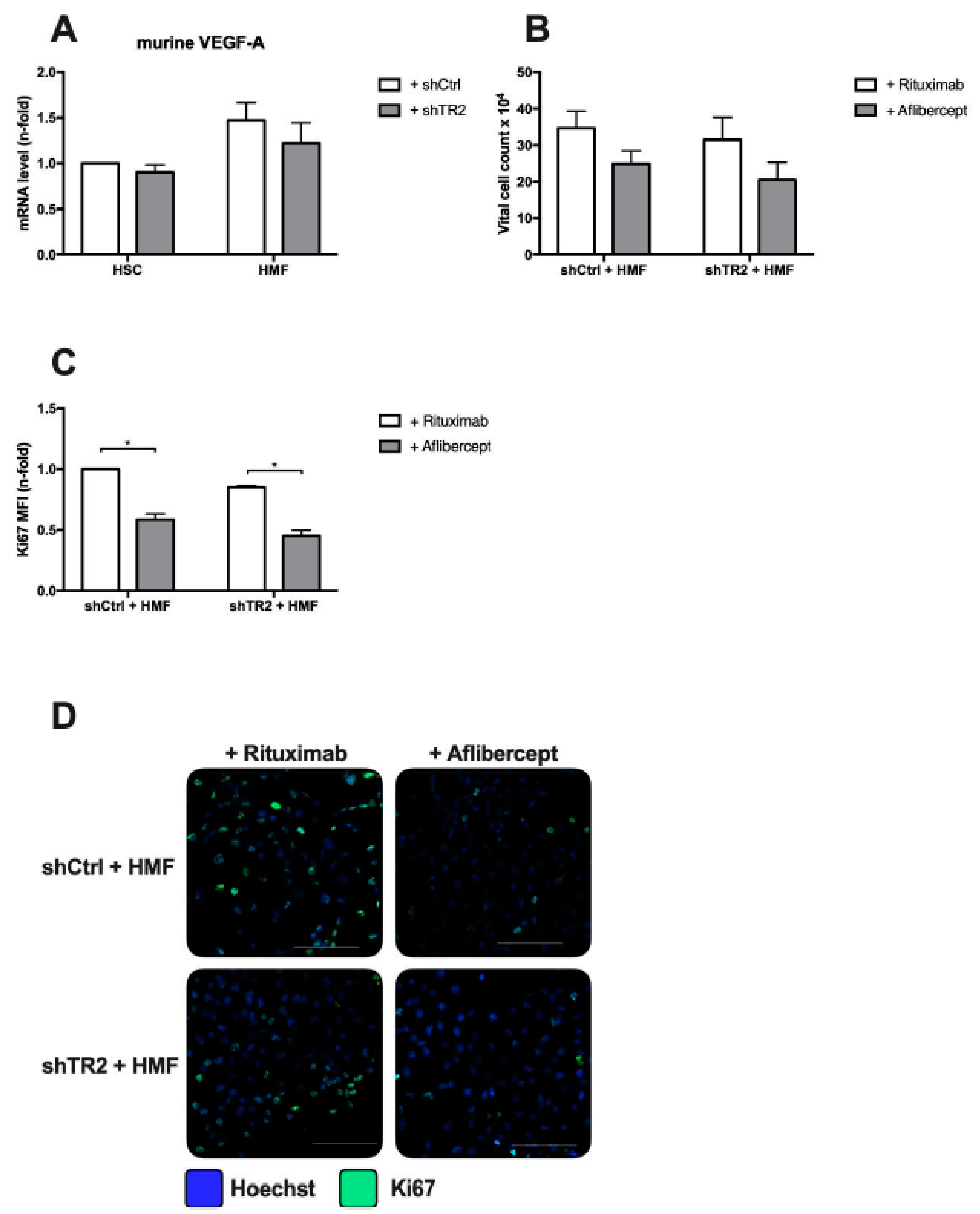 Cancers 11 00745 g008 Cancers 11 00745 g008