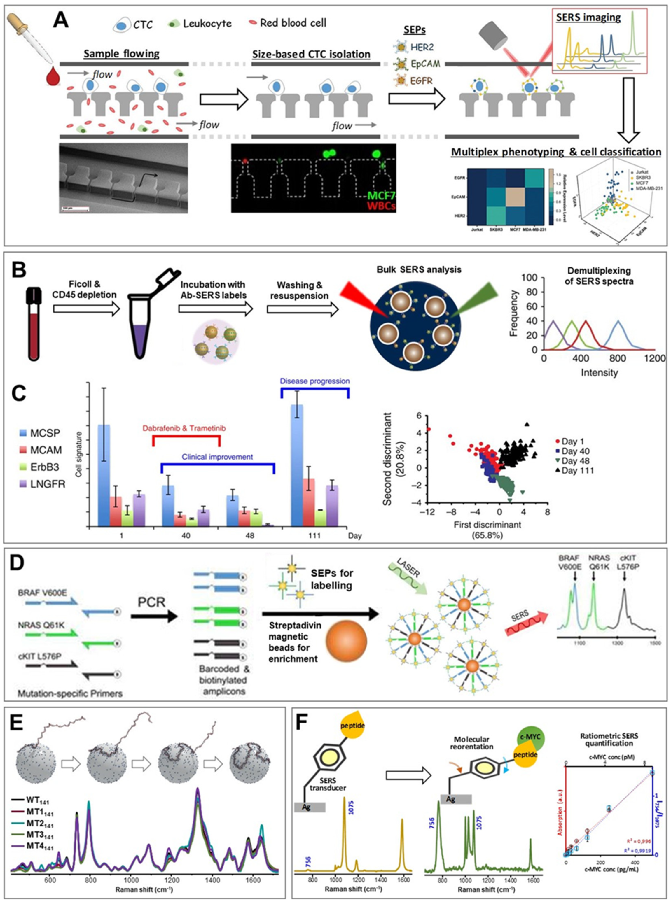 Cancers 11 00748 g002